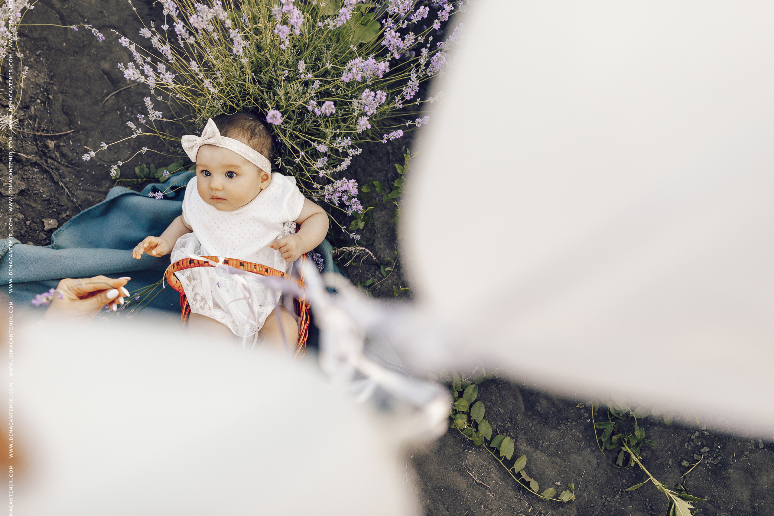 BEAUTIFUL SUNSET. Fotograf de nuntă în Chisinau, Moldova. Poze și Video Comerciale