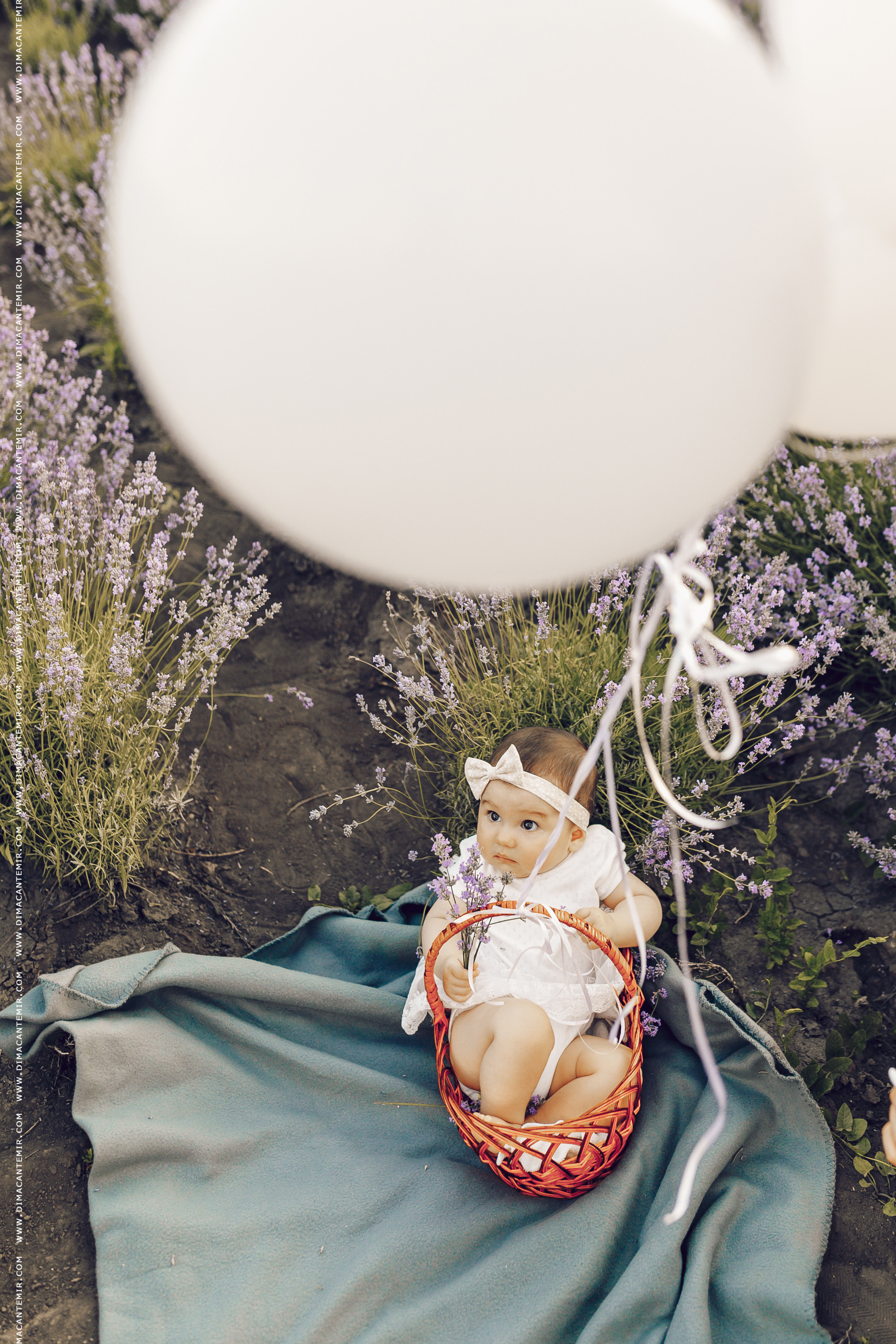 BEAUTIFUL SUNSET. Fotograf de nuntă în Chisinau, Moldova. Poze și Video Comerciale