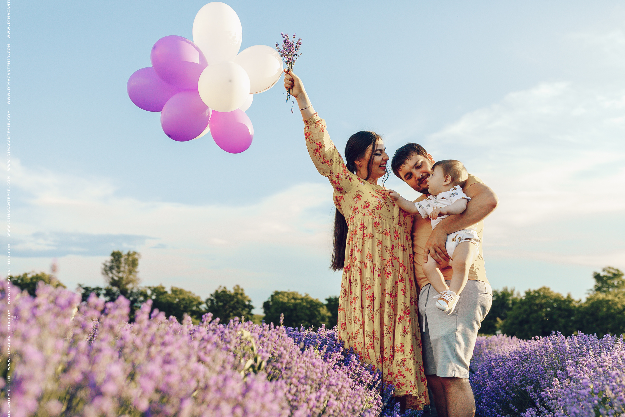 Emir / cîmp de levănțică. Fotograf de nuntă în Chisinau, Moldova. Poze și Video Comerciale