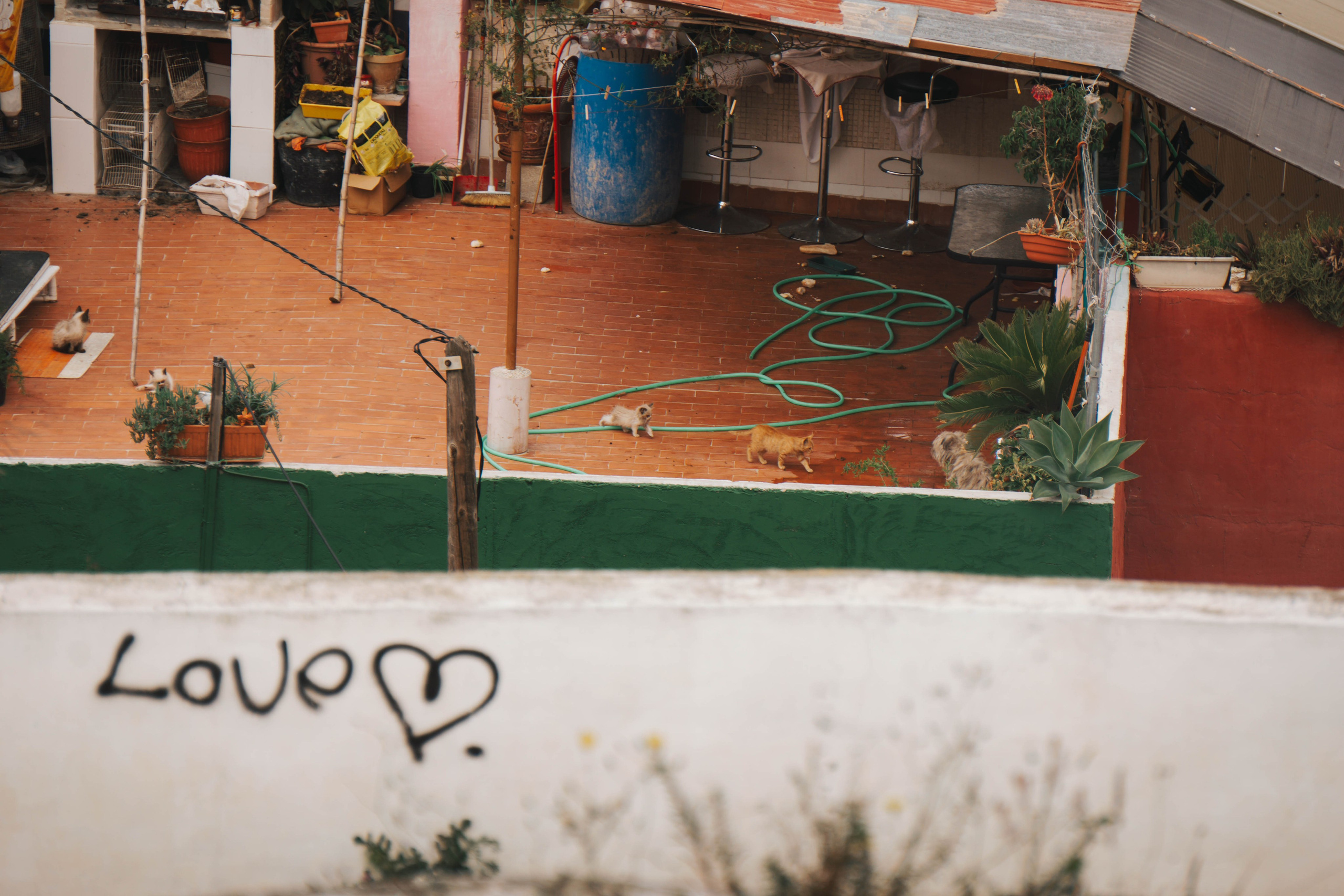 Rojales. Alba del Norte Studio