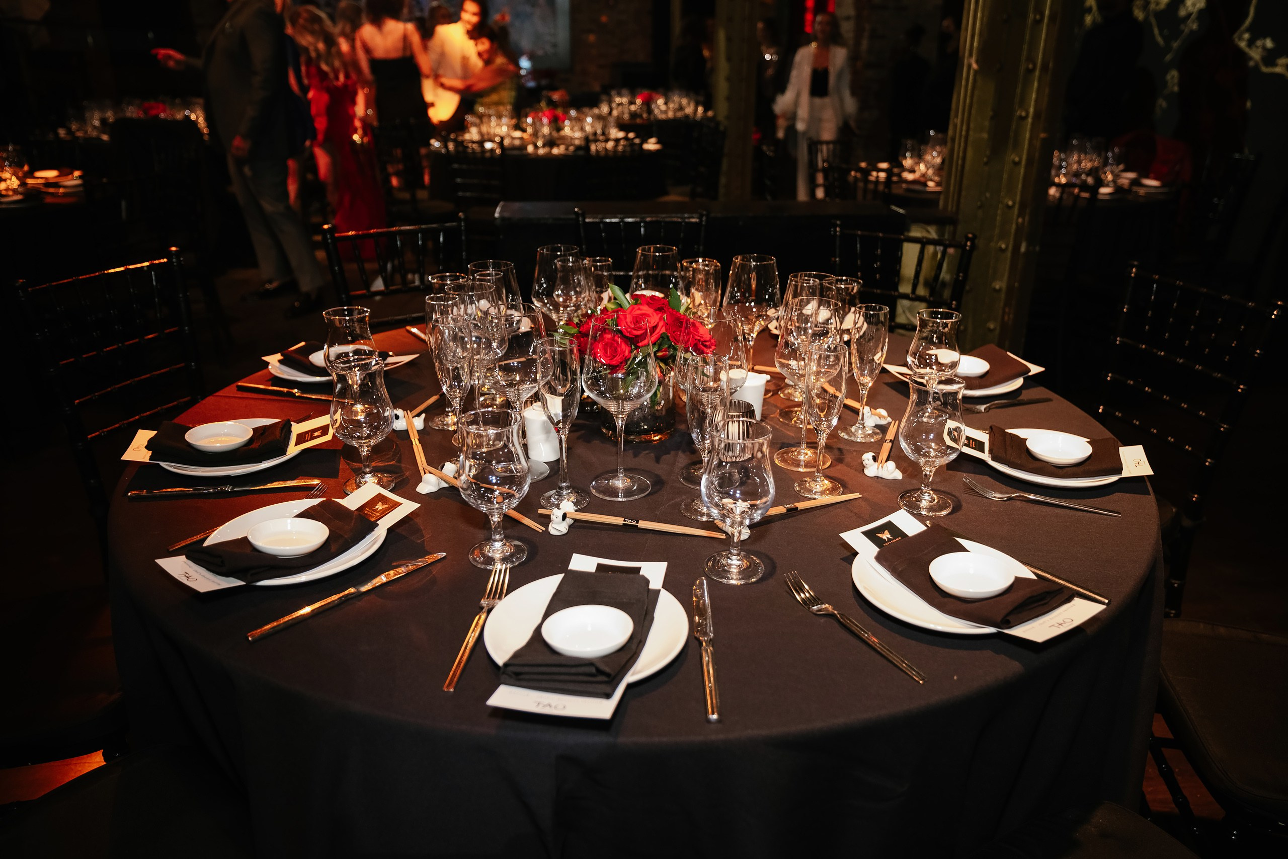 Tali’s Birthday Party 05,08,2026. Wedding family event photographer in Chicago Nick Yushevich