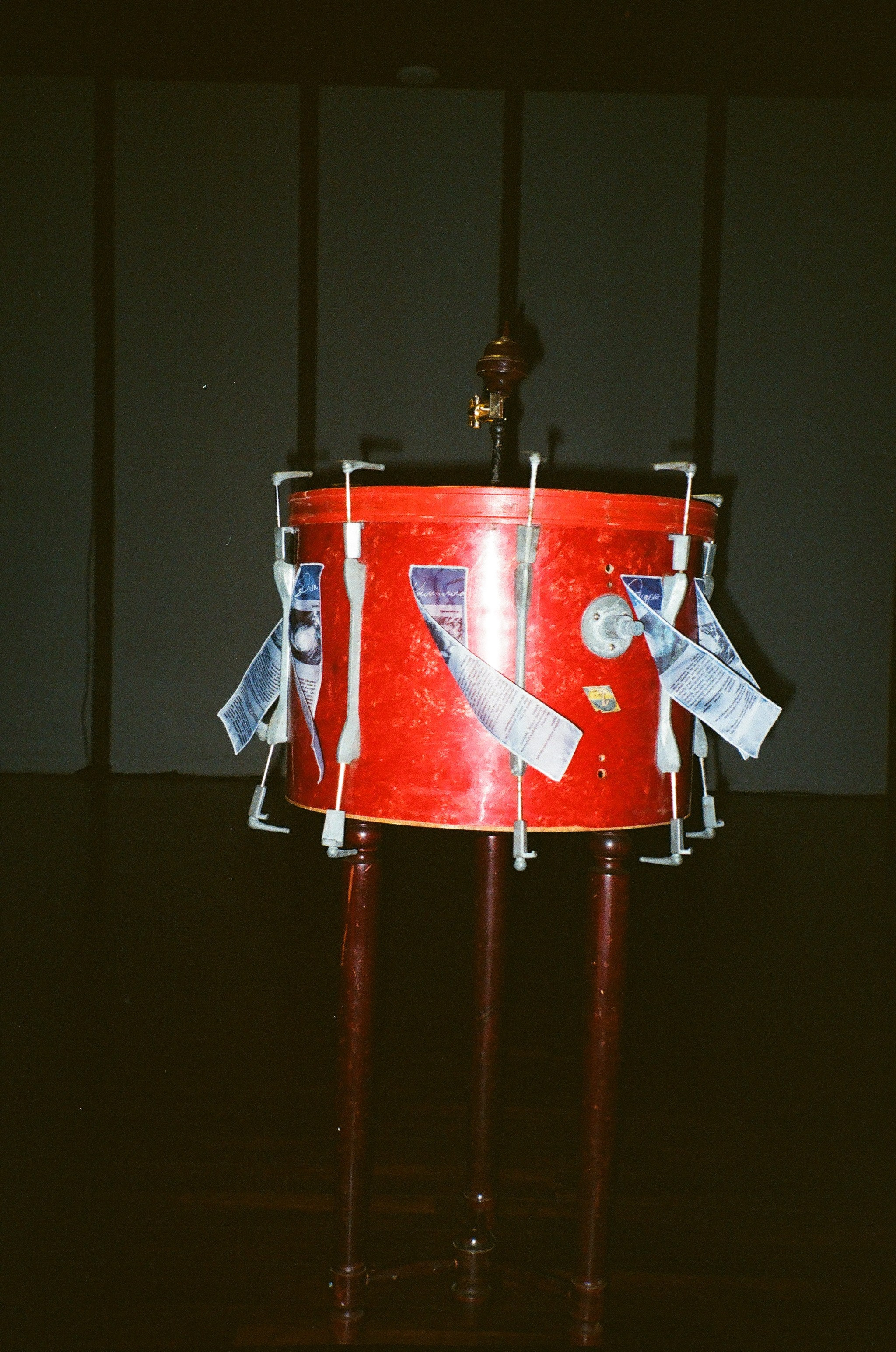 Spira mirabilis| Удивительная спираль. Alina Kugush