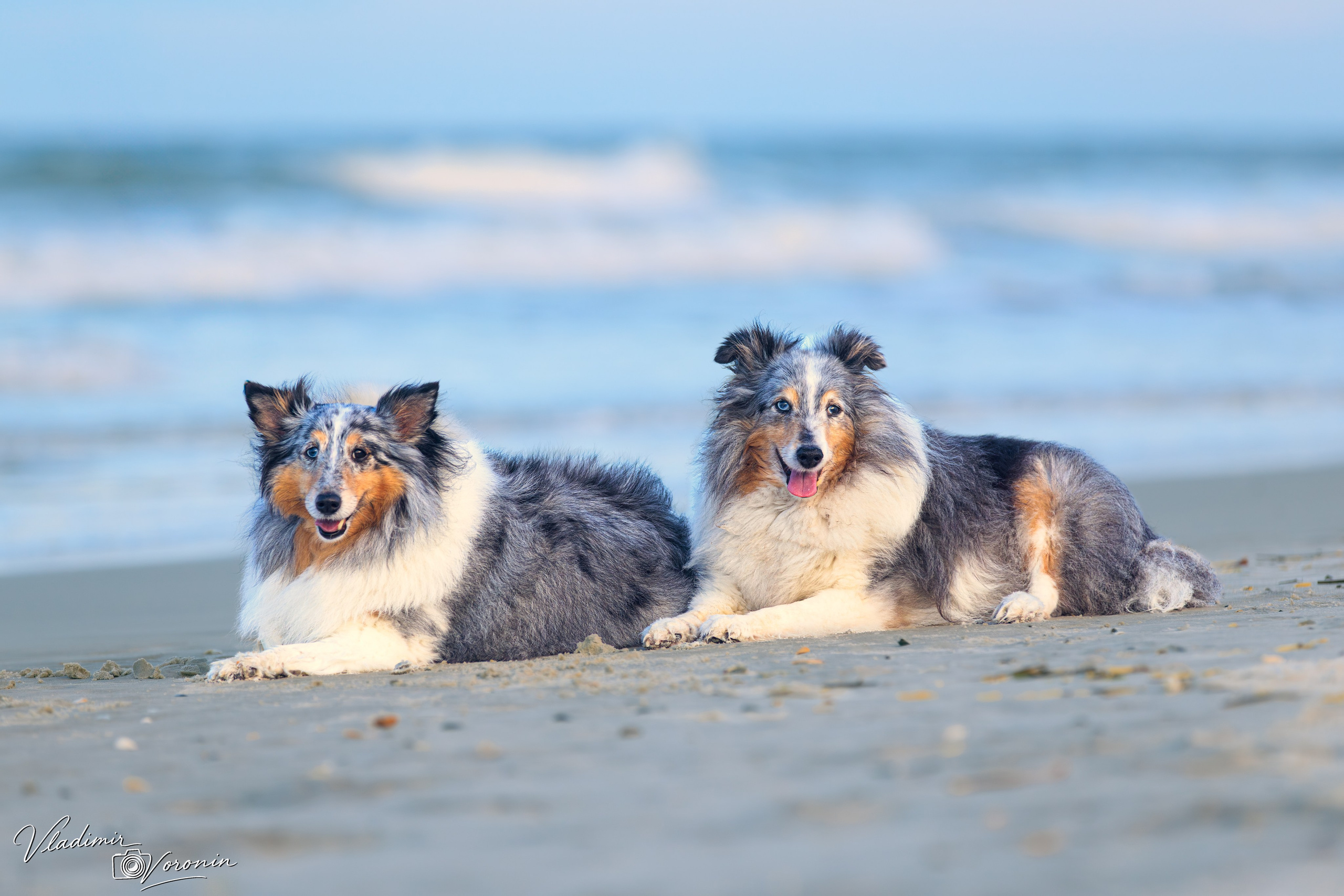 St. Augustine Beach. Photographer St. Augustine