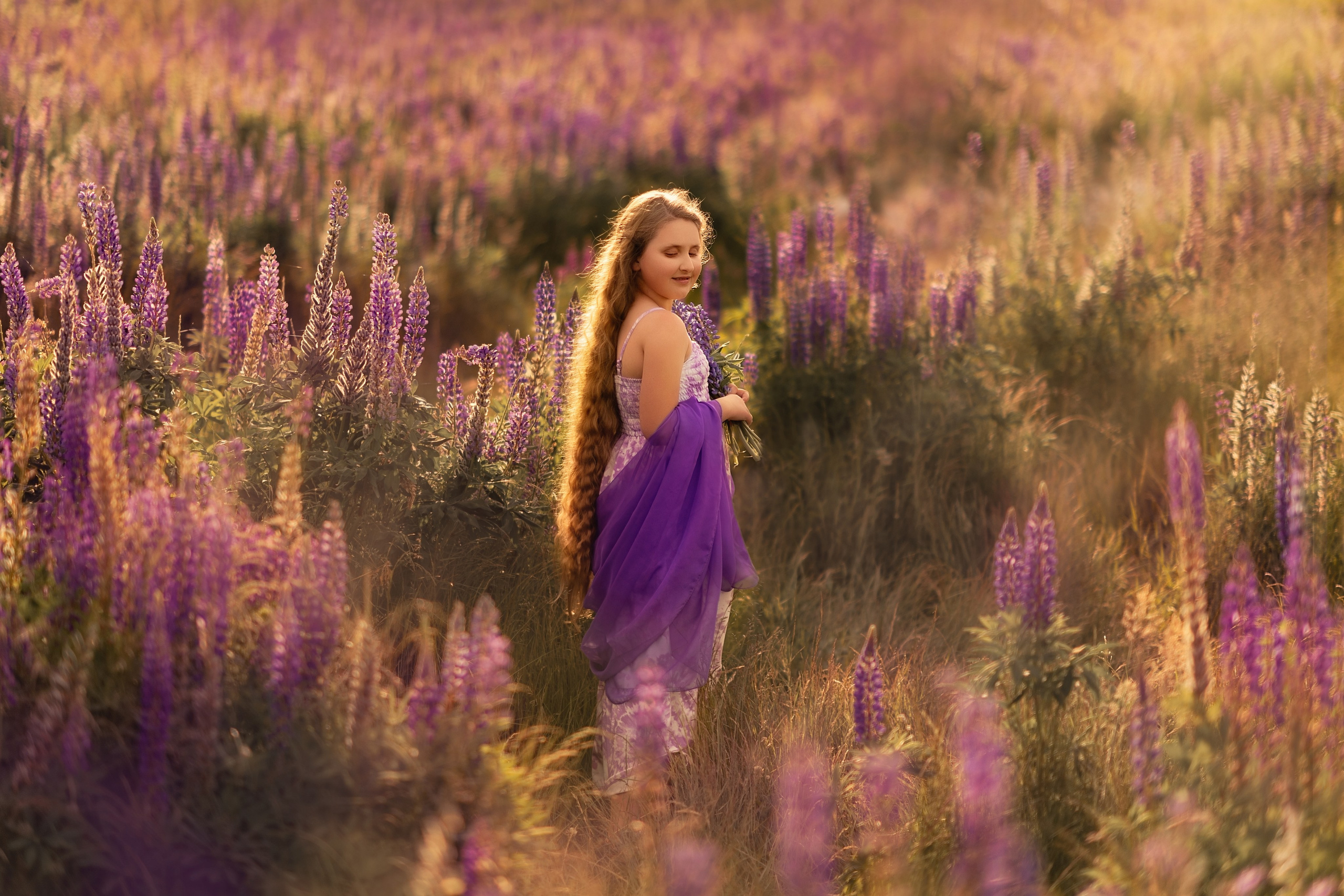 Field of lupines. Wedding & portrait photography in the Seattle Area. Helen Michelle photographer