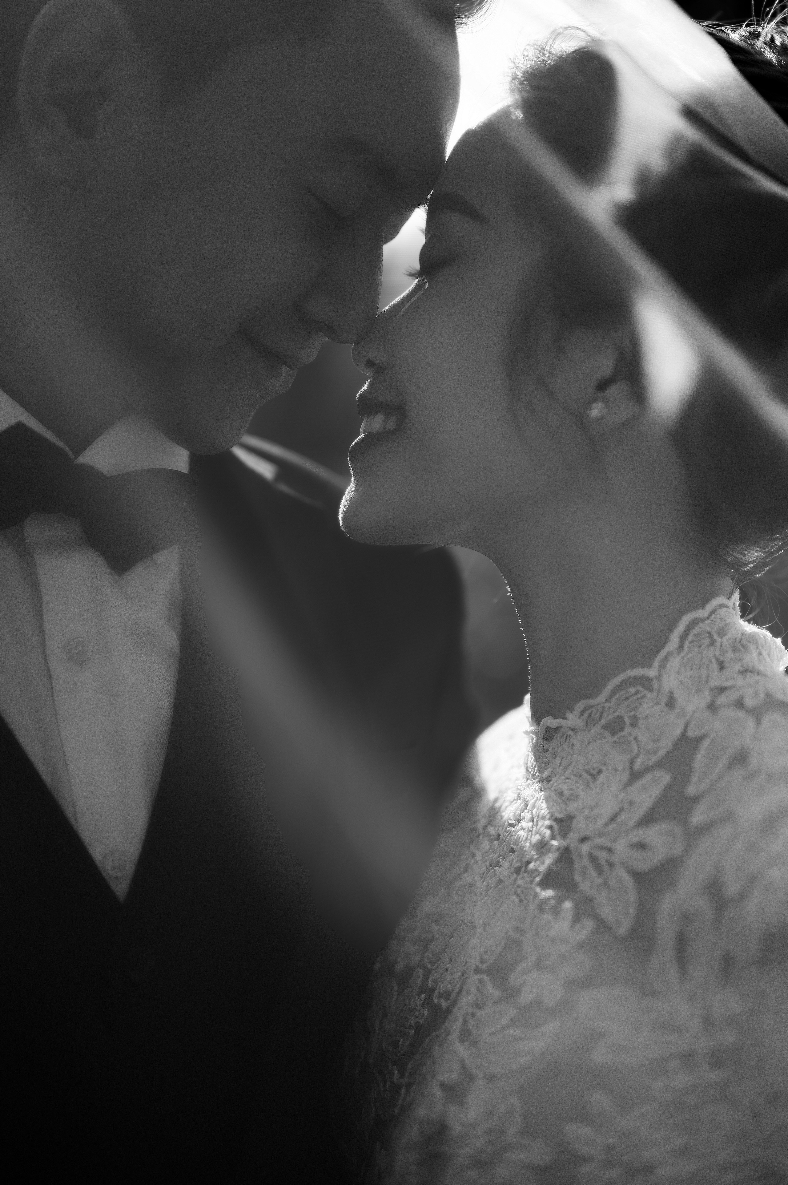 T & Q Studio. TheLoveMuseum