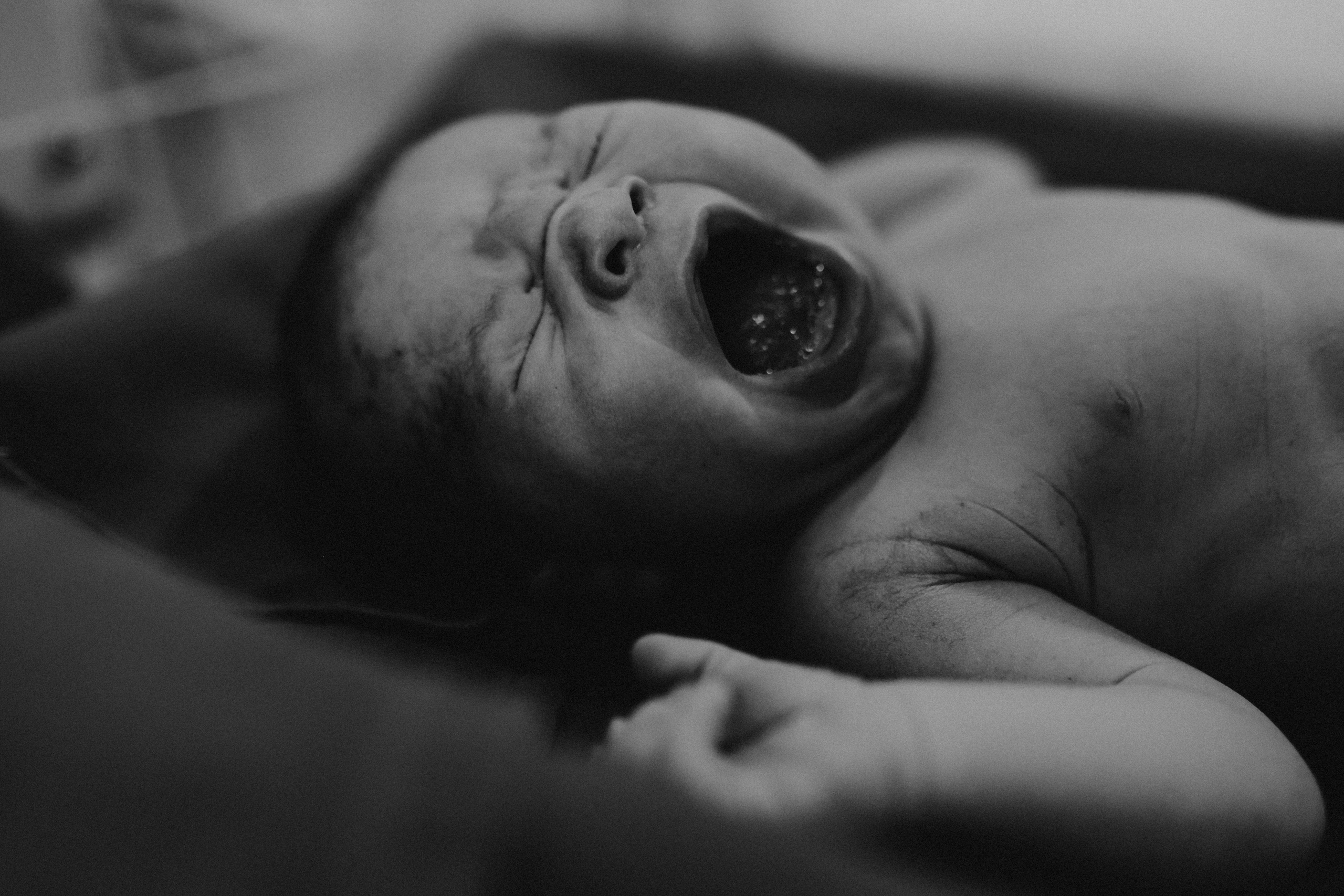 O nascimento de Daniel. Fotografa documental de familia e nascimento em Florianópolis SC Daria Ermolaev