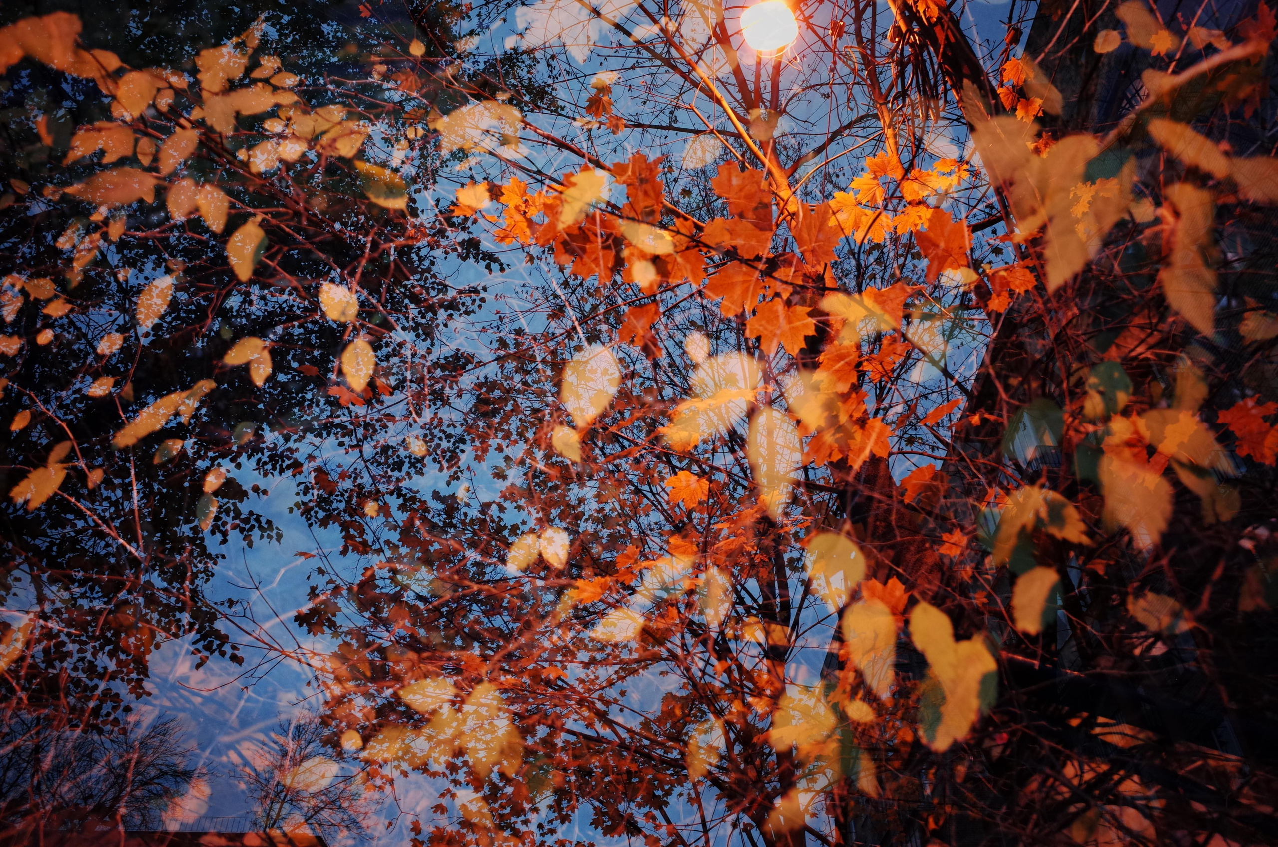 Demeter Dreams. Victoria Dini. Art photography in London / Folkestone, UK