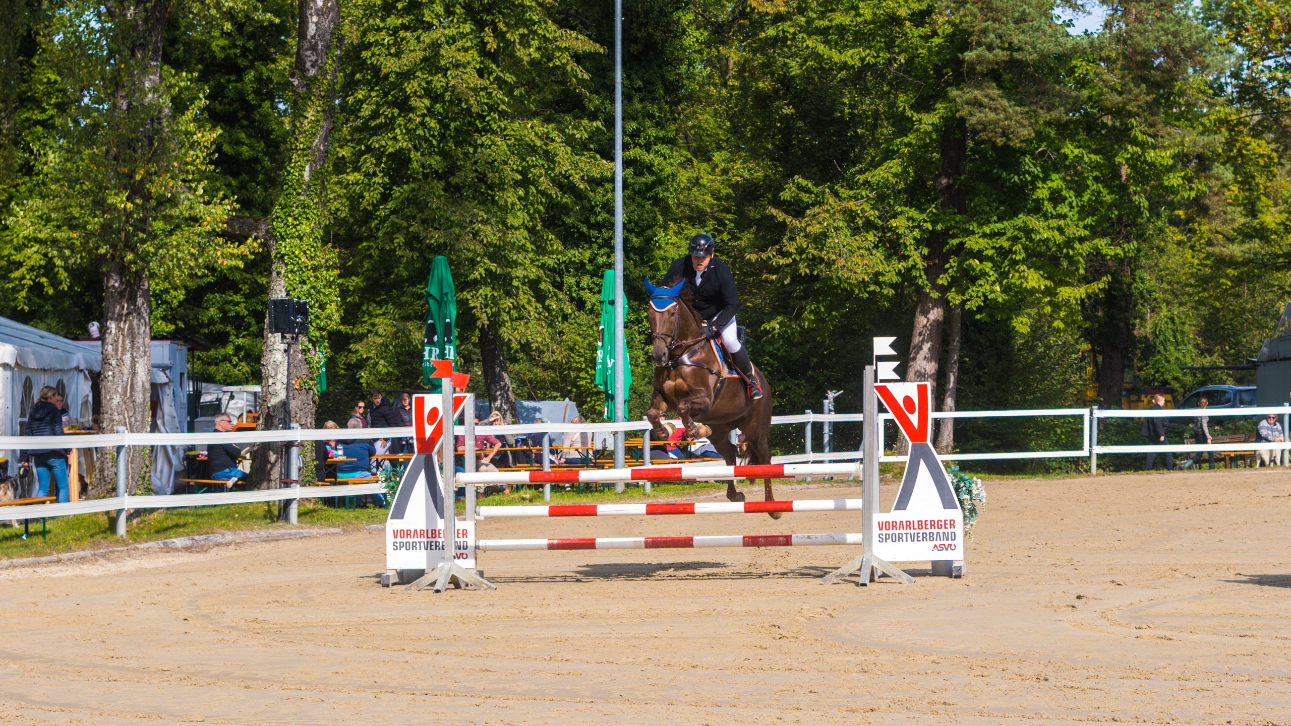Equestrian Competition
