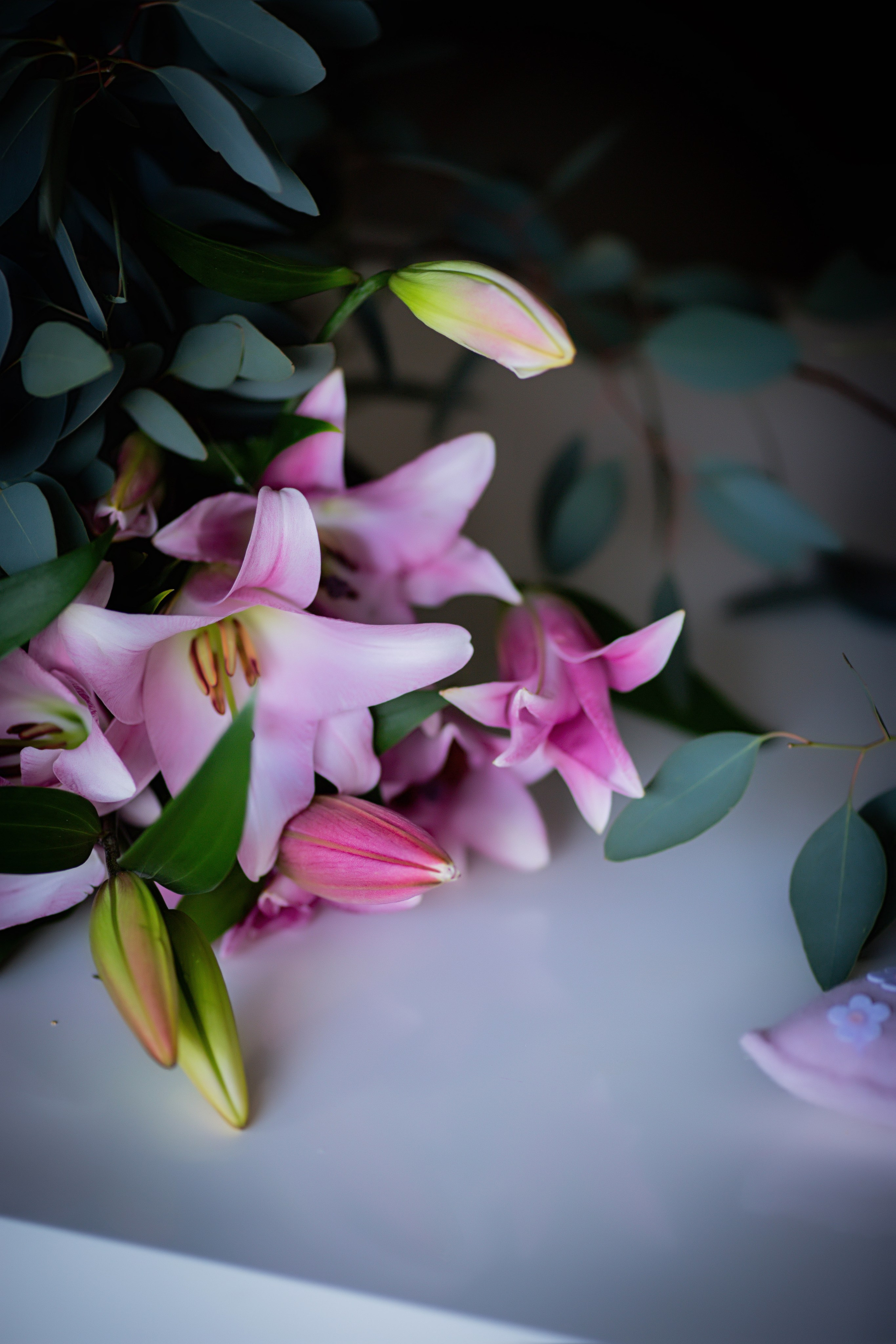 Photographie publicitaire. Photographe et photothérapeute à Nice et sur la Côte d’Azur — Katherine Grape