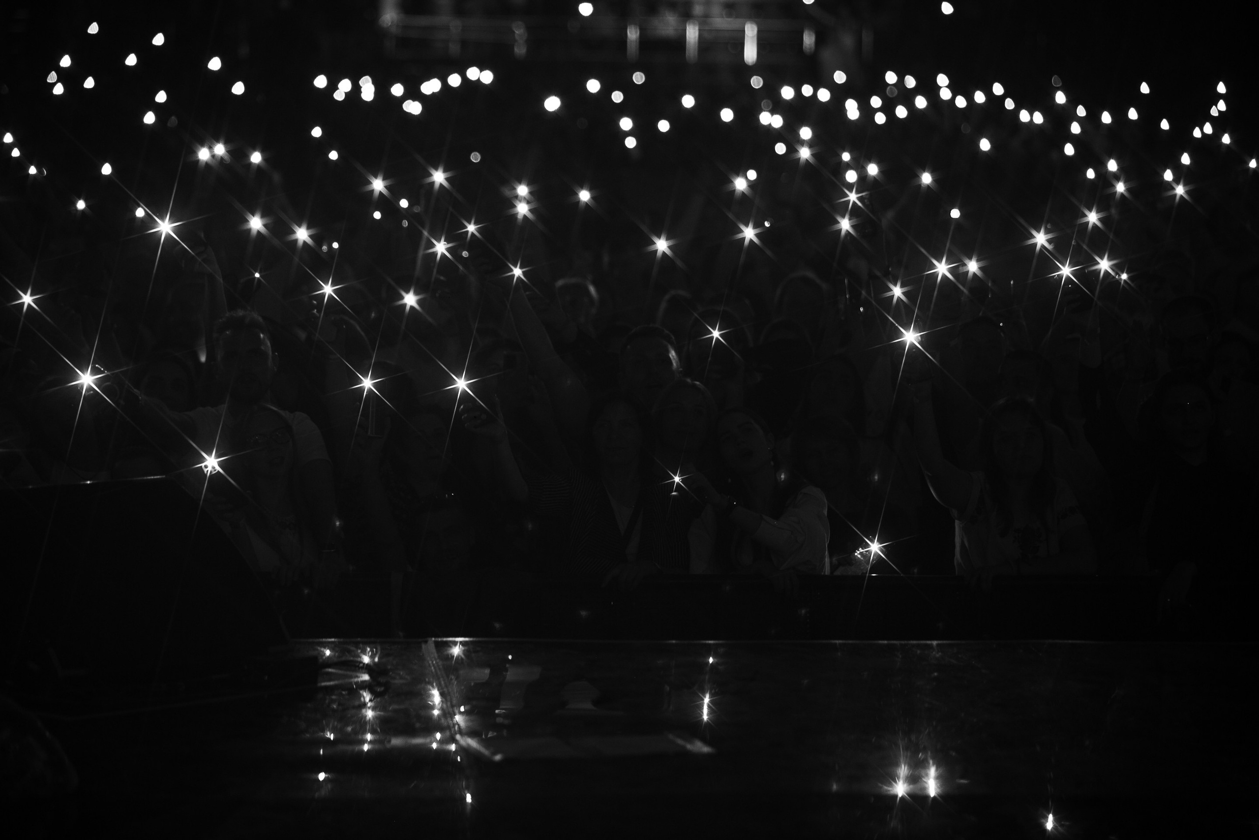 Скай. Репортажний фотограф/анімаліст КИЇВ