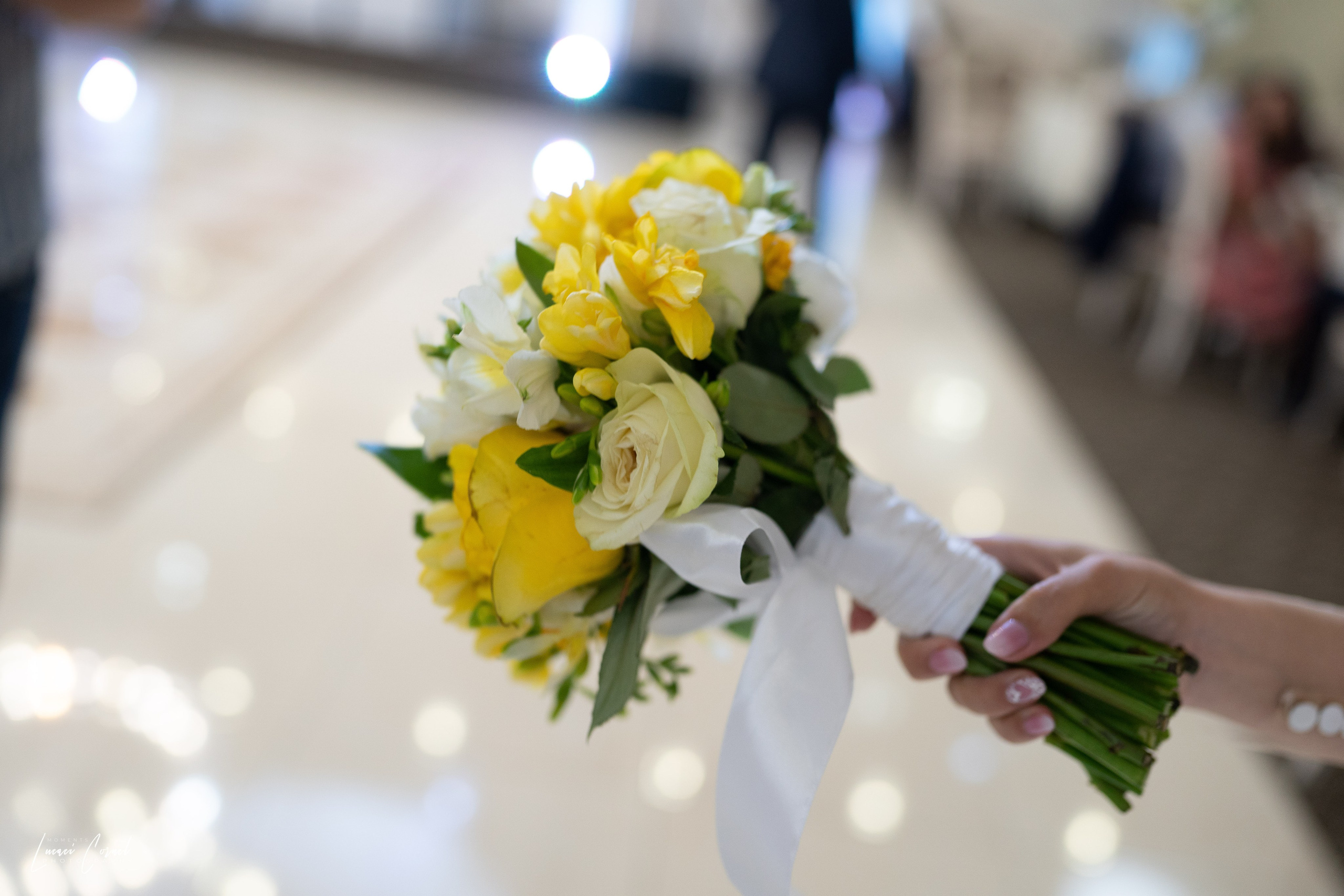 Andreea & Ștefan – Nuntă cu suflet. Fotograf de nuntă, corporate, botezuri, majorate și aniversări Roman, Lucaci Cornel