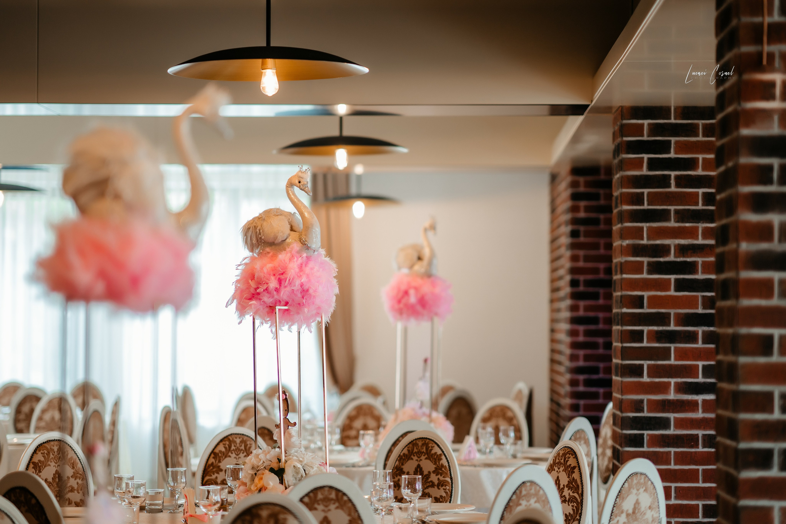 Familie – Amintiri de neuitat. Fotograf de nuntă, corporate, botezuri, majorate și aniversări Roman, Lucaci Cornel