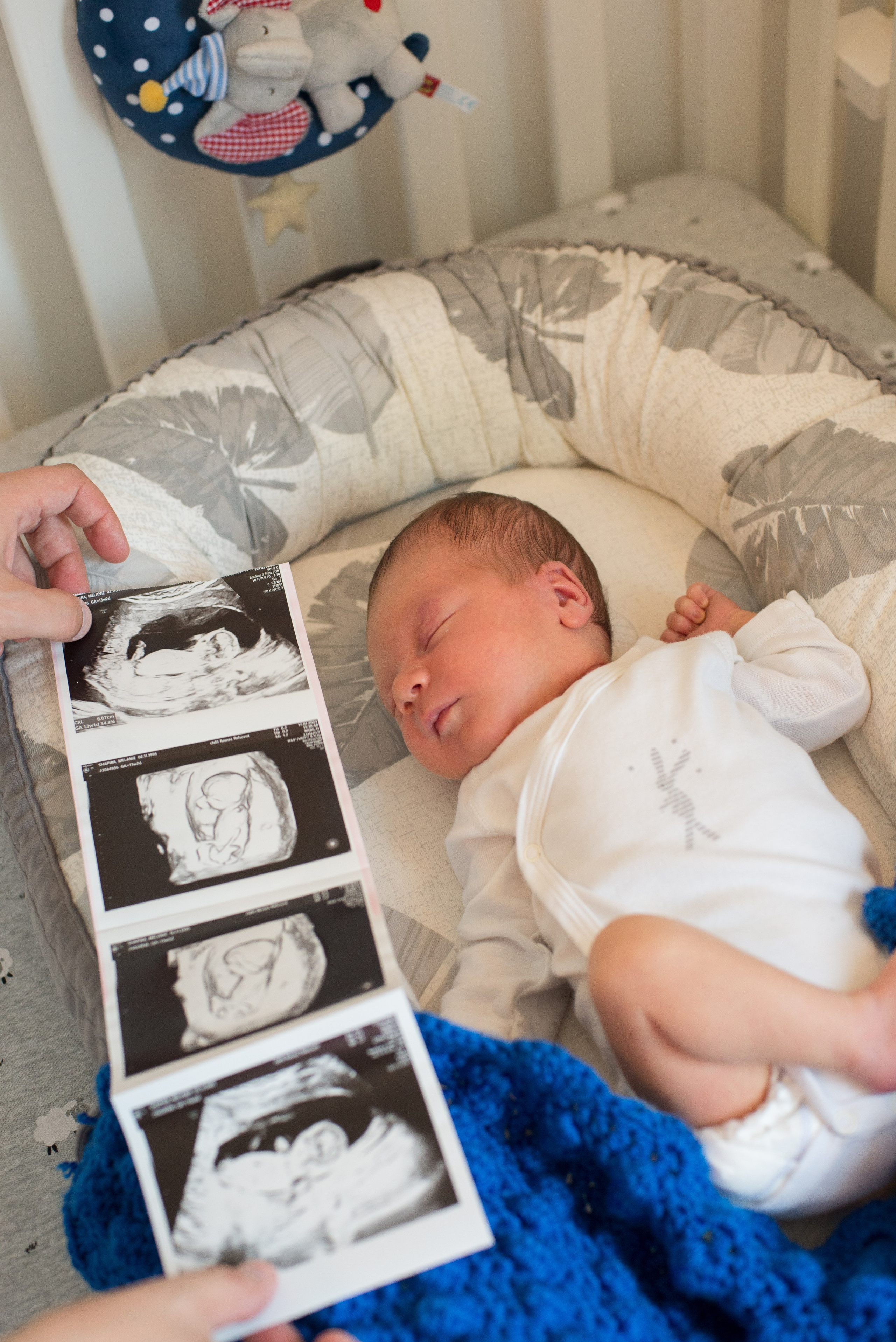 Семья Ильи и Мелани. Визуальный брендинг