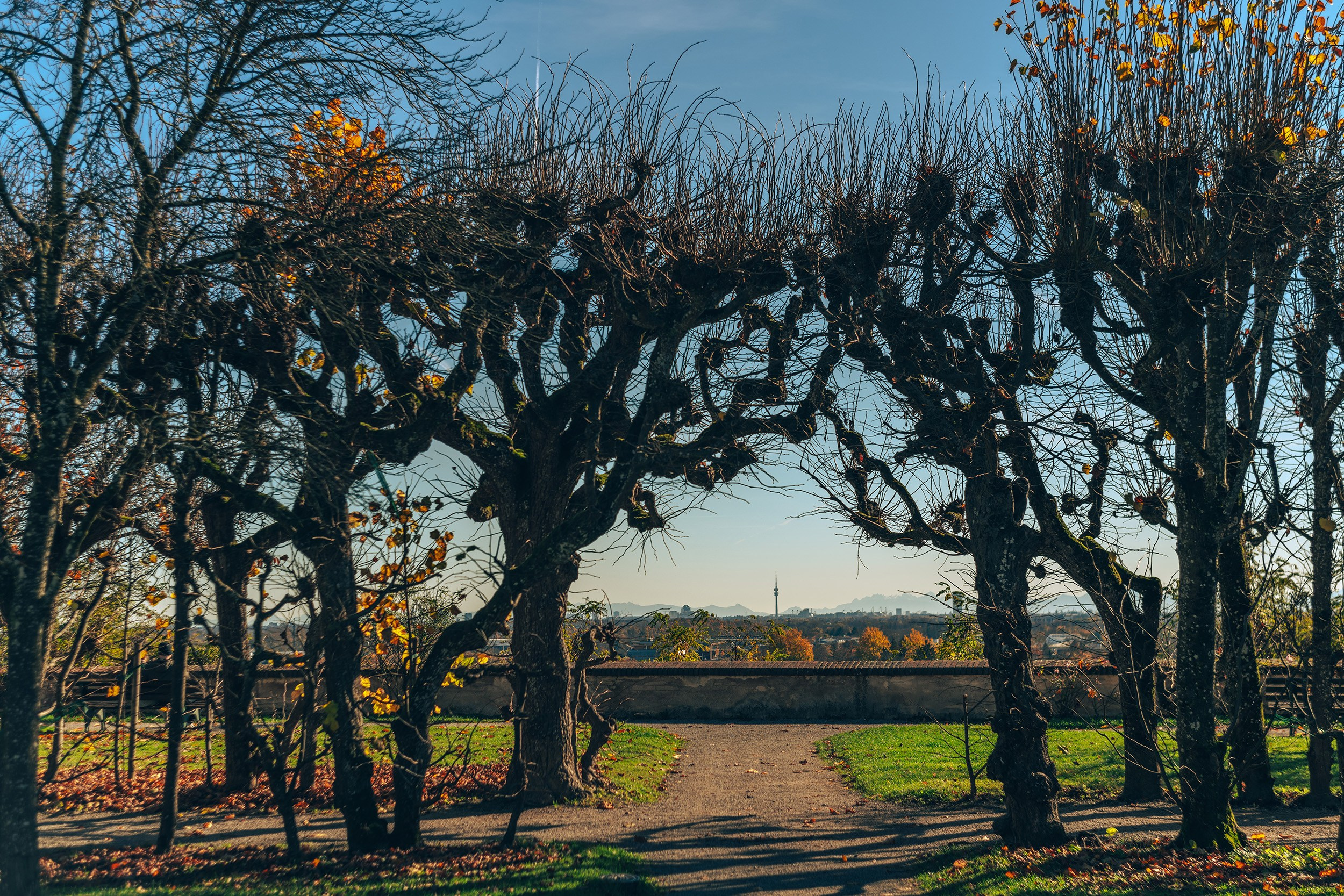 Dachau. Գևորգ Զուրնաչյան — Պրոֆեսիոնալ լուսանկարիչ Երևանում