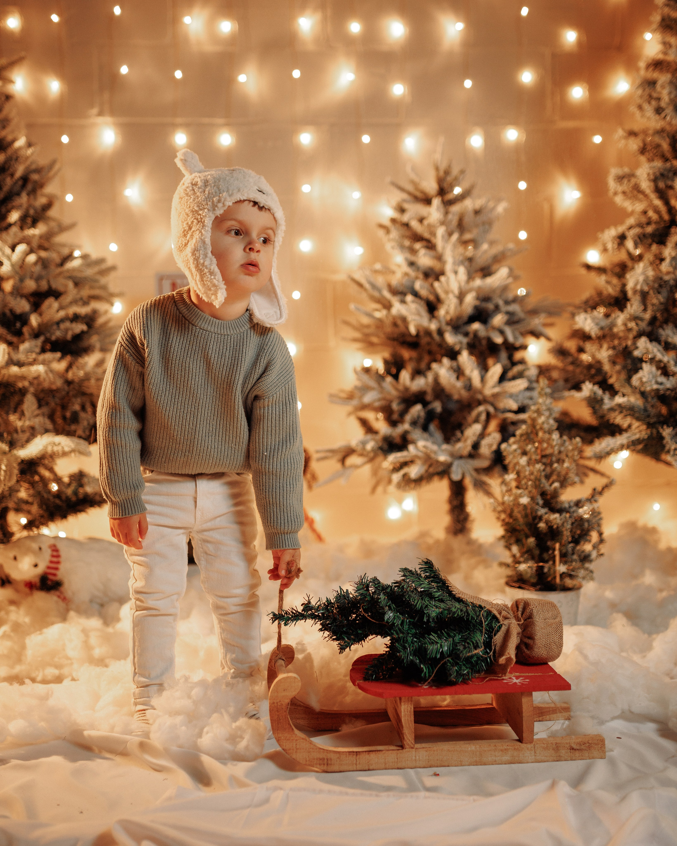 Christmas Time. Https://valeriubriciuc.com/