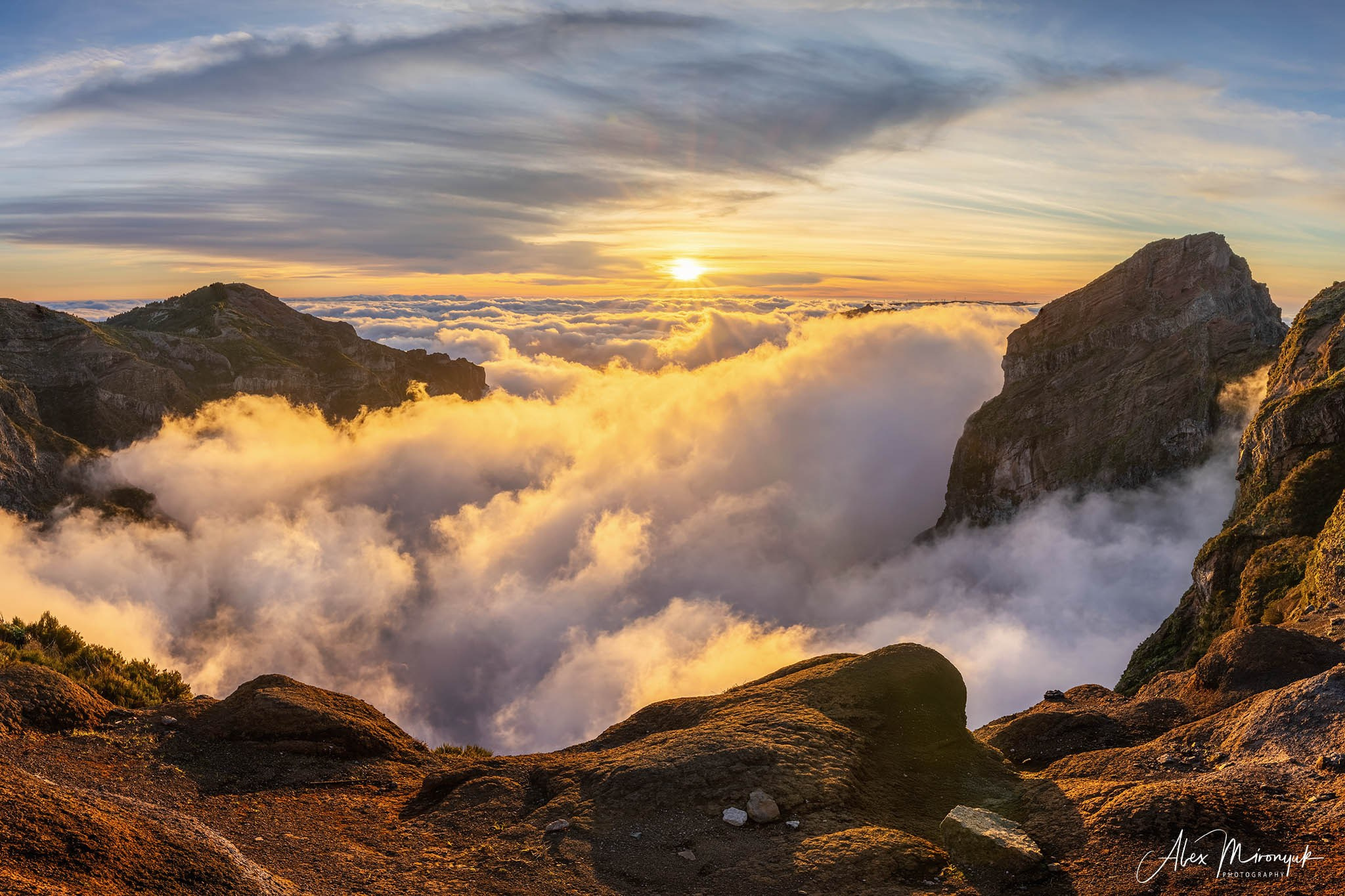 Madeira And Azores. Pet, Senior, Landscape, portrait studio, photographer in Miami and Sou