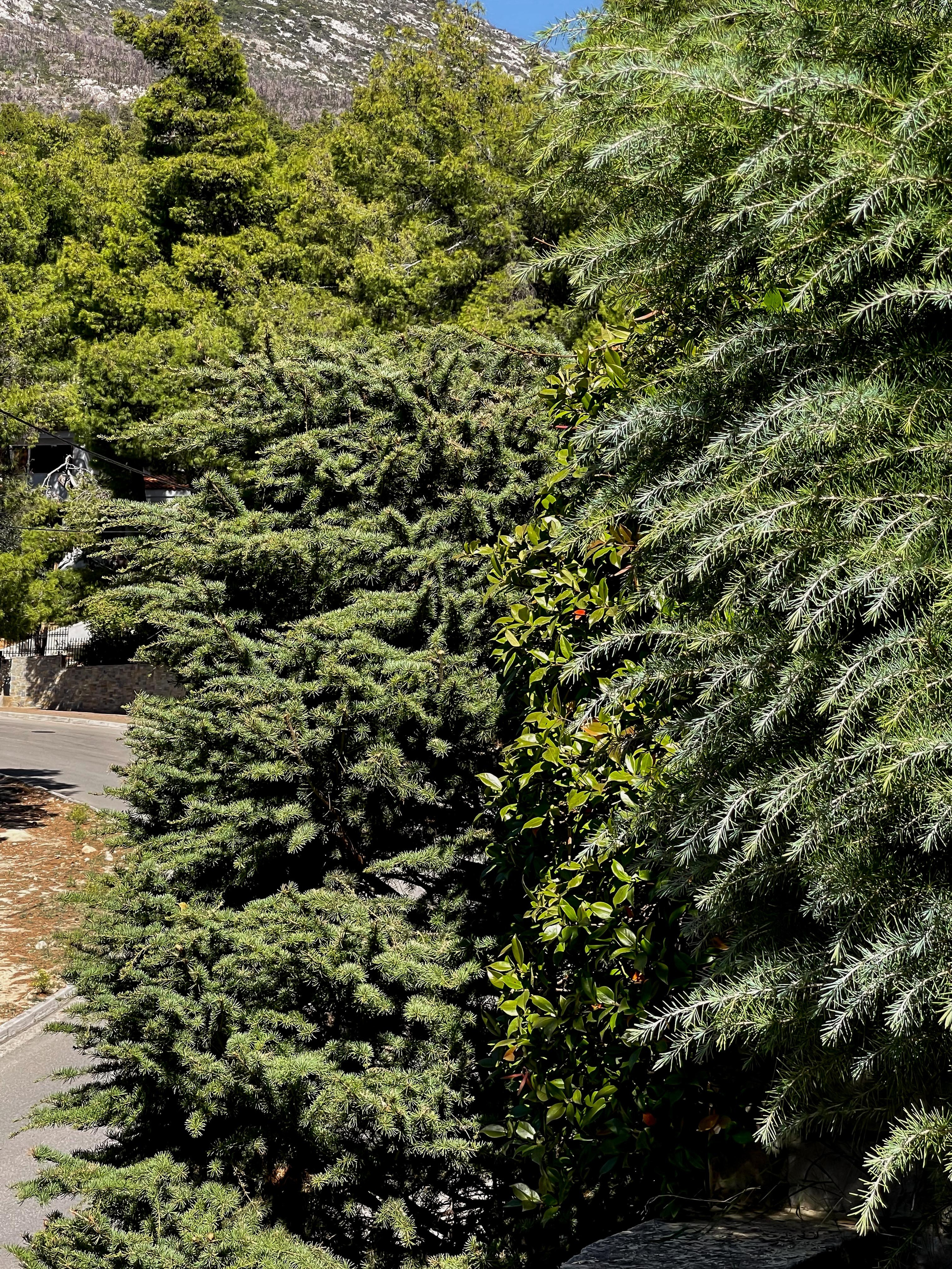 Κήπος Θρακομακεδόνες. Geoponitikon-Όταν η Επιστήμη συναντά την Τέχνη στο Φυσικό Τοπίο!