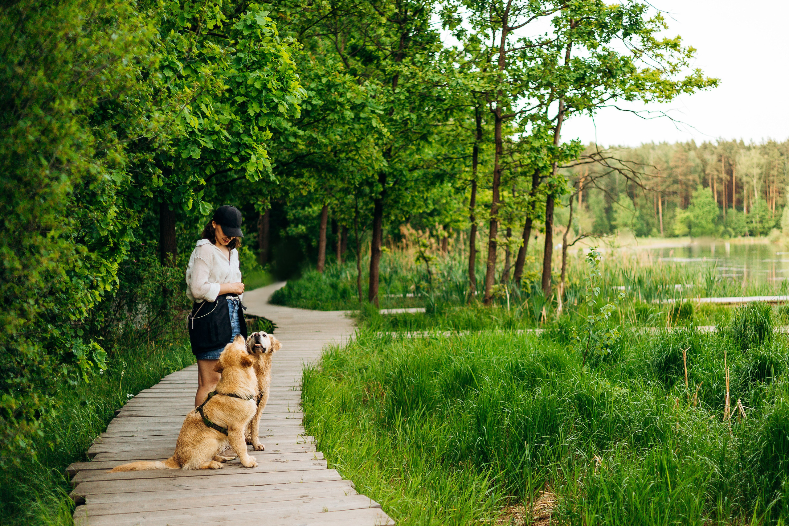 Настя, Арчи, Арагон. Фотограф-анималист | Белград