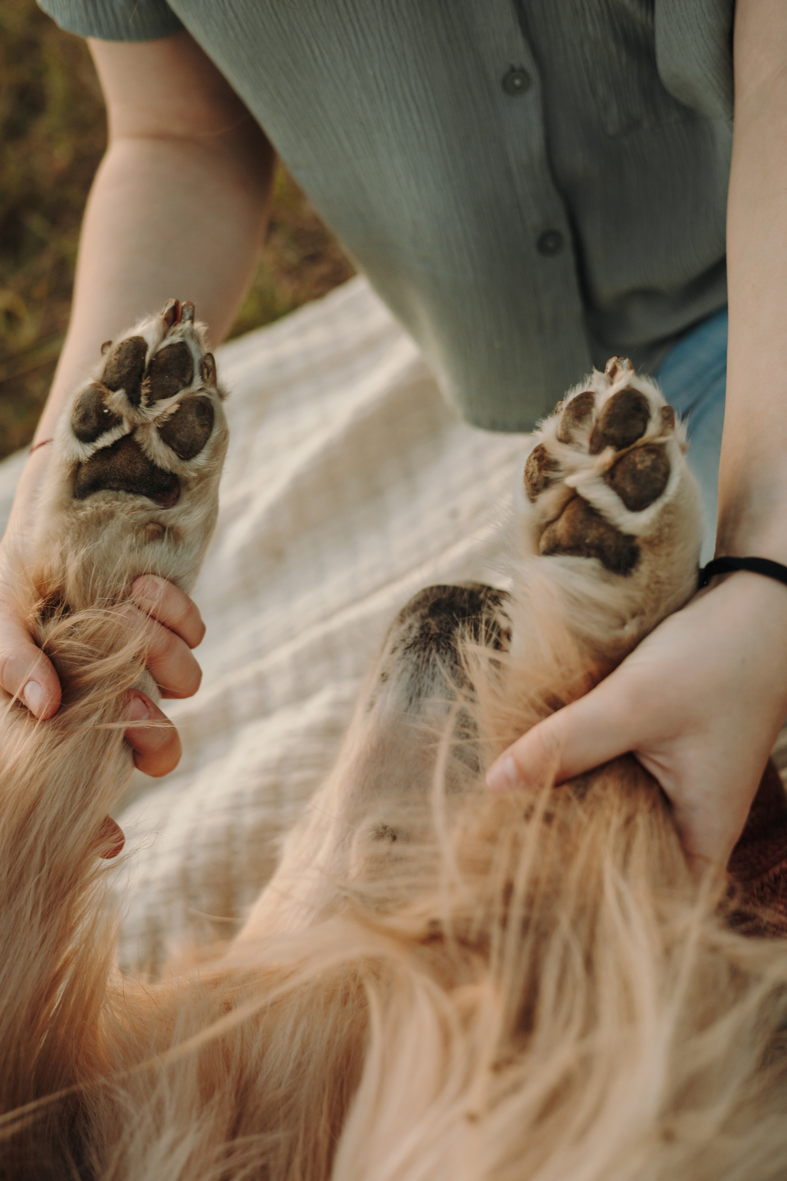 Катя и Бро. Фотограф-анималист | Белград