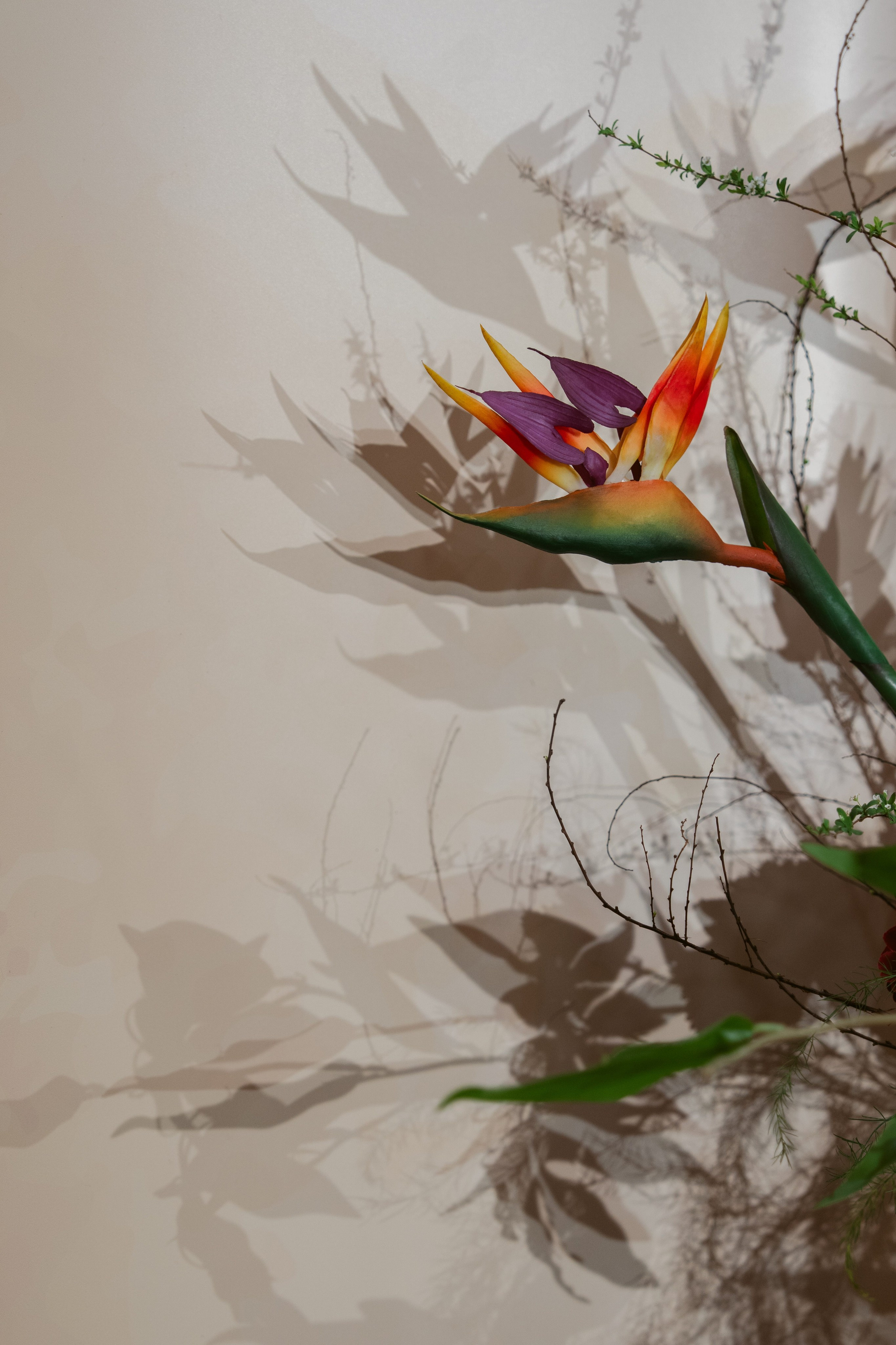 Man + My | Photojournalism. BenColor Studio