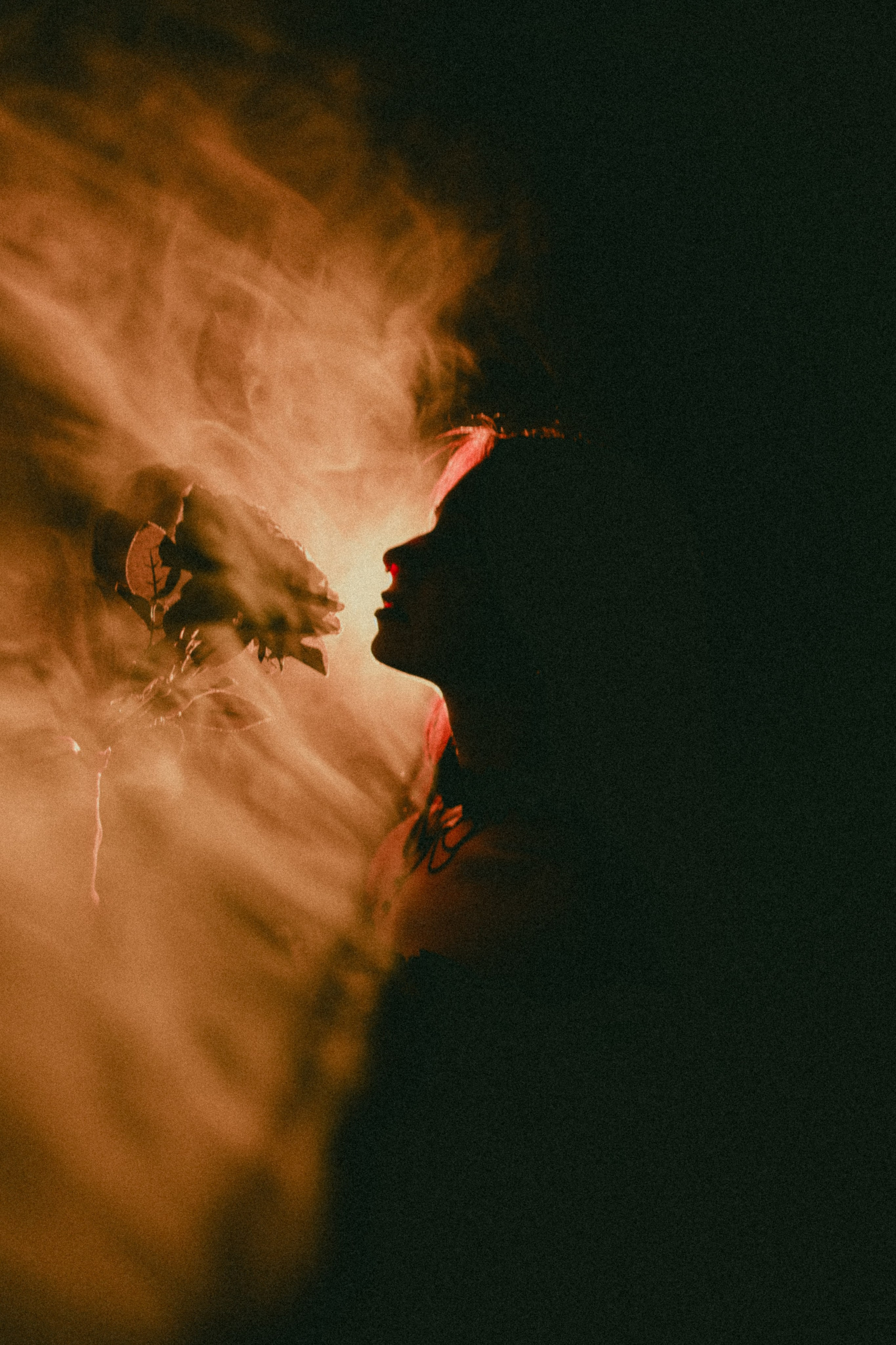 Profesionalna Fotografija i Videografija | Sarajevo | yasinemir.com