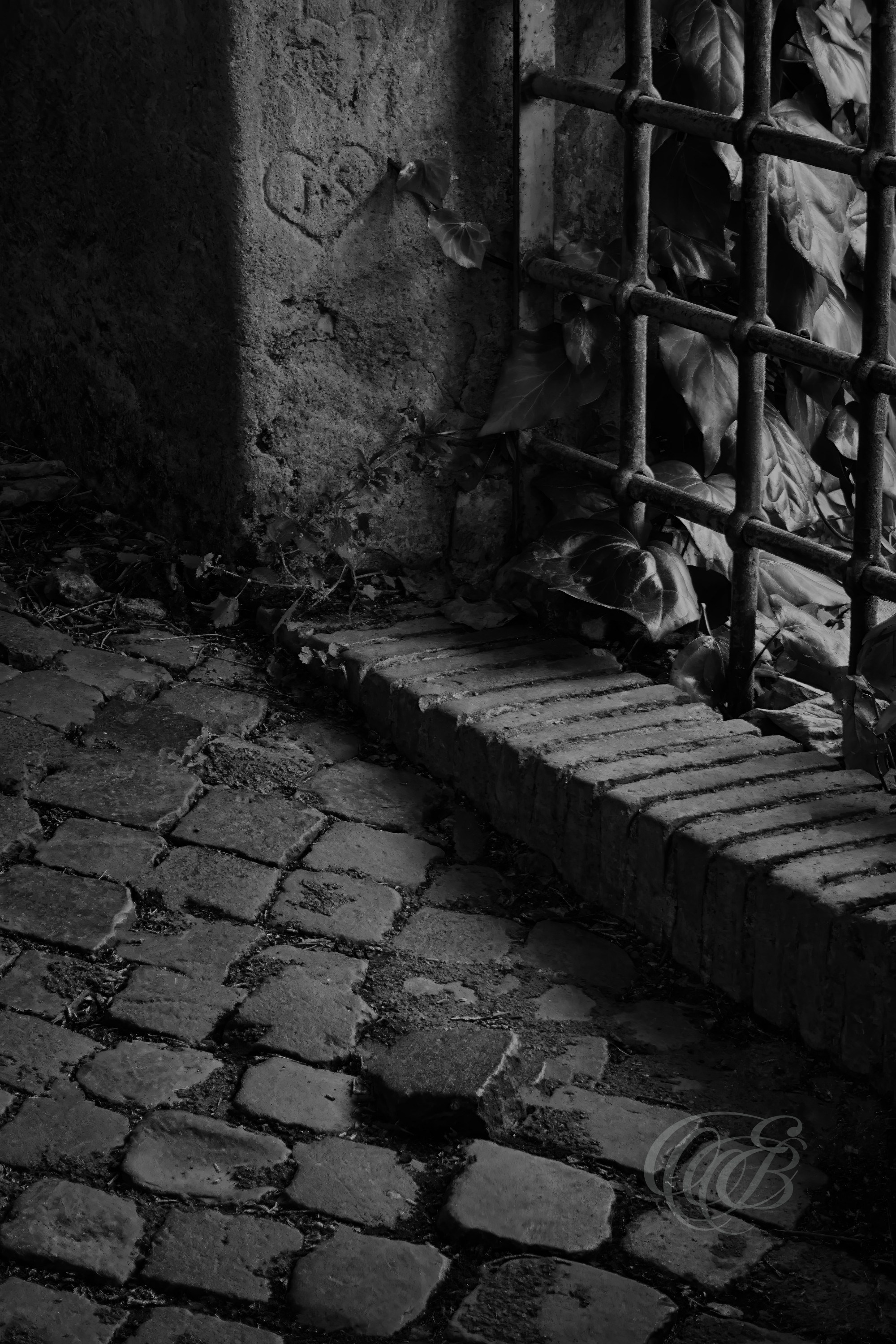 Street Photography — Rome, Italy — Via di S. Bonaventura — B&W — Black and white interpretation of Via di San Bonaventura on Rome’s Palatine Hill, emphasizing historic architecture, ancient surroundings, tonal contrasts, and the secluded character of this centuries-old area — Eduardo Bartoli Photography.