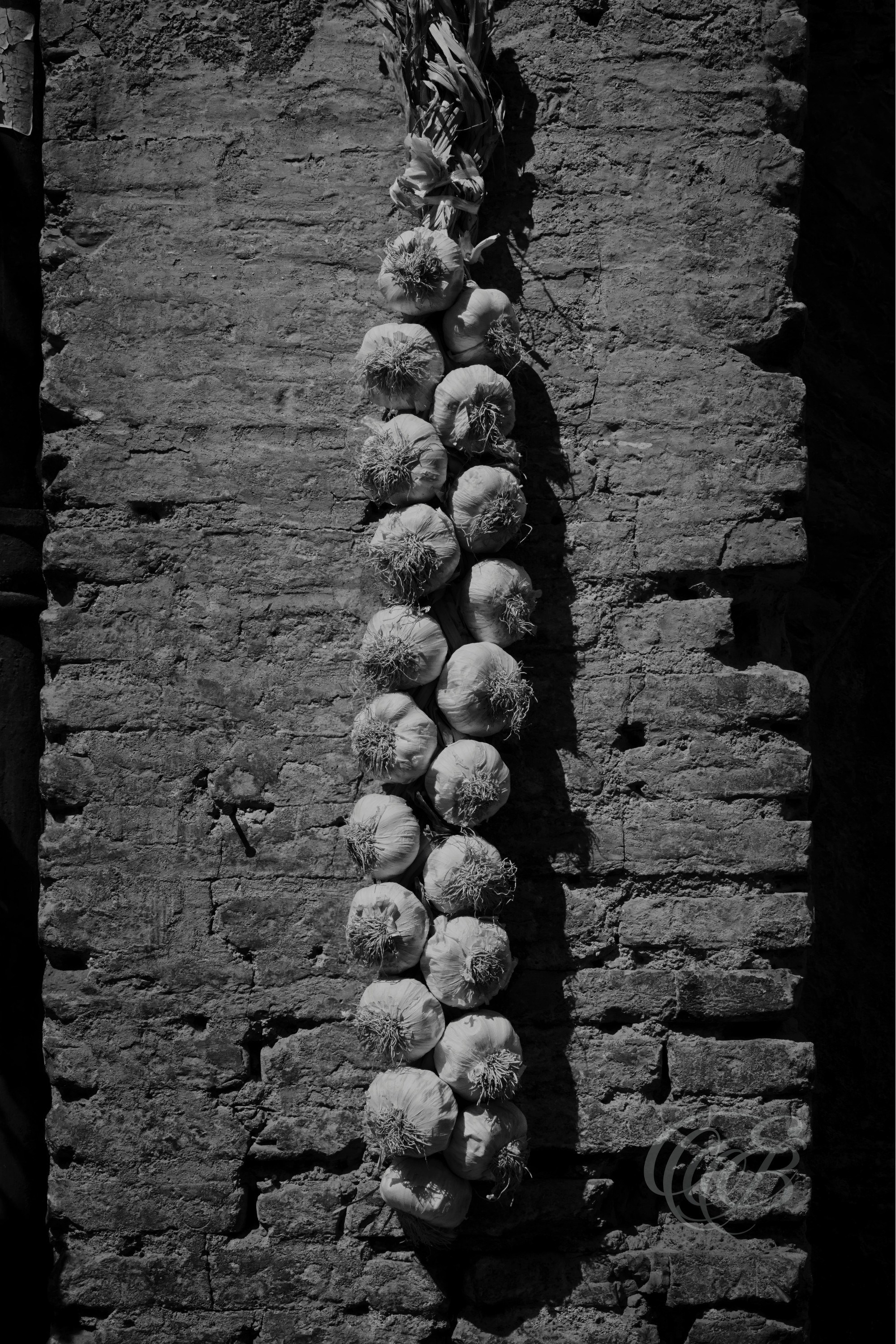 Street Photography — Rome, Italy — Roman Garlic — B&W — Black and white study of garlic in Rome, reflecting everyday Italian food culture, traditional Roman cuisine, and the Mediterranean culinary heritage of the city — Eduardo Bartoli Photography.