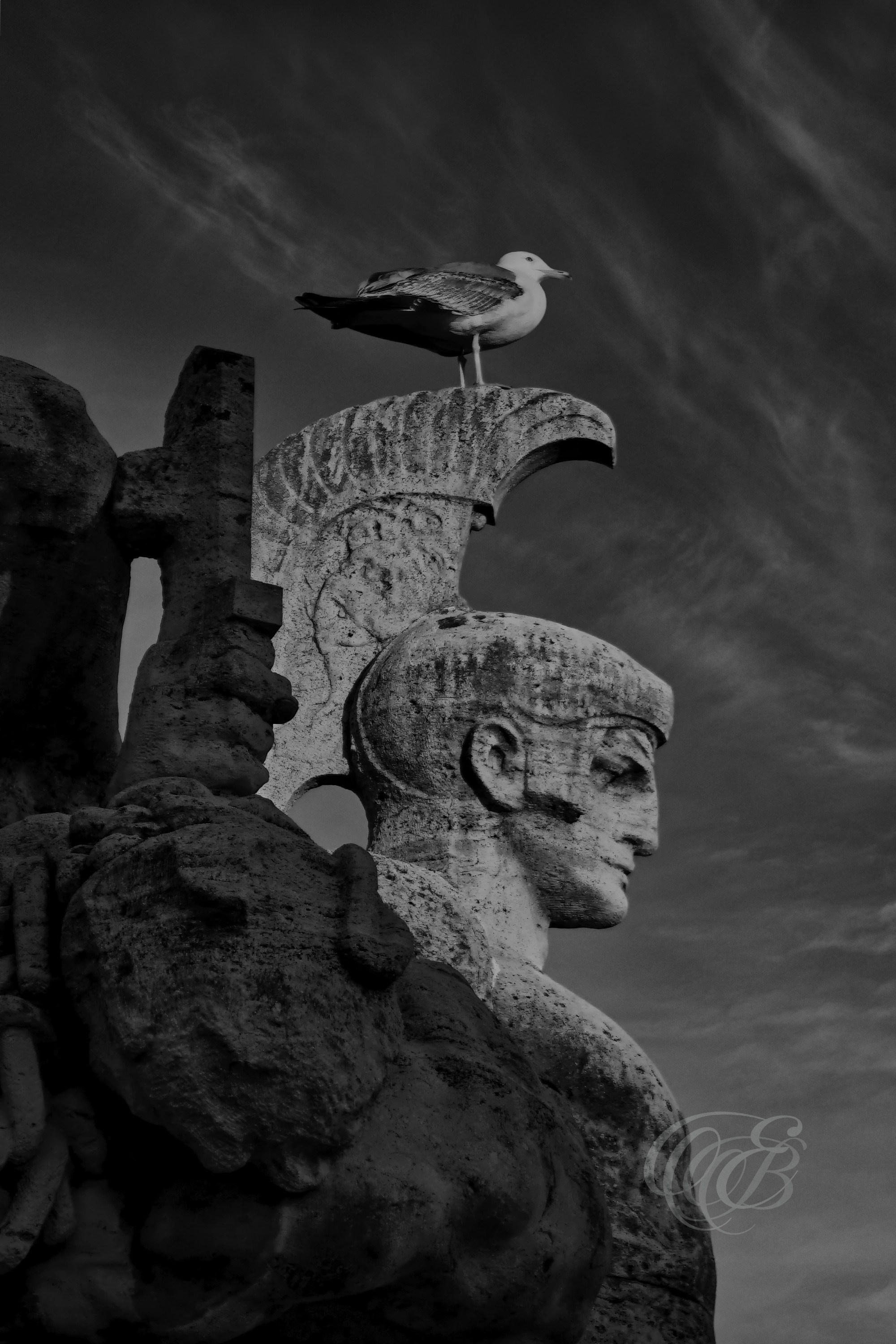 Street Photography — Rome, Italy — Seagull over the Ponte Vittorio Emanuele II — B&W — Black and white view of a seagull above Rome’s Ponte Vittorio Emanuele II, combining the historic bridge, Tiber river landscape, and everyday urban life near the Vatican — Eduardo Bartoli Photography.