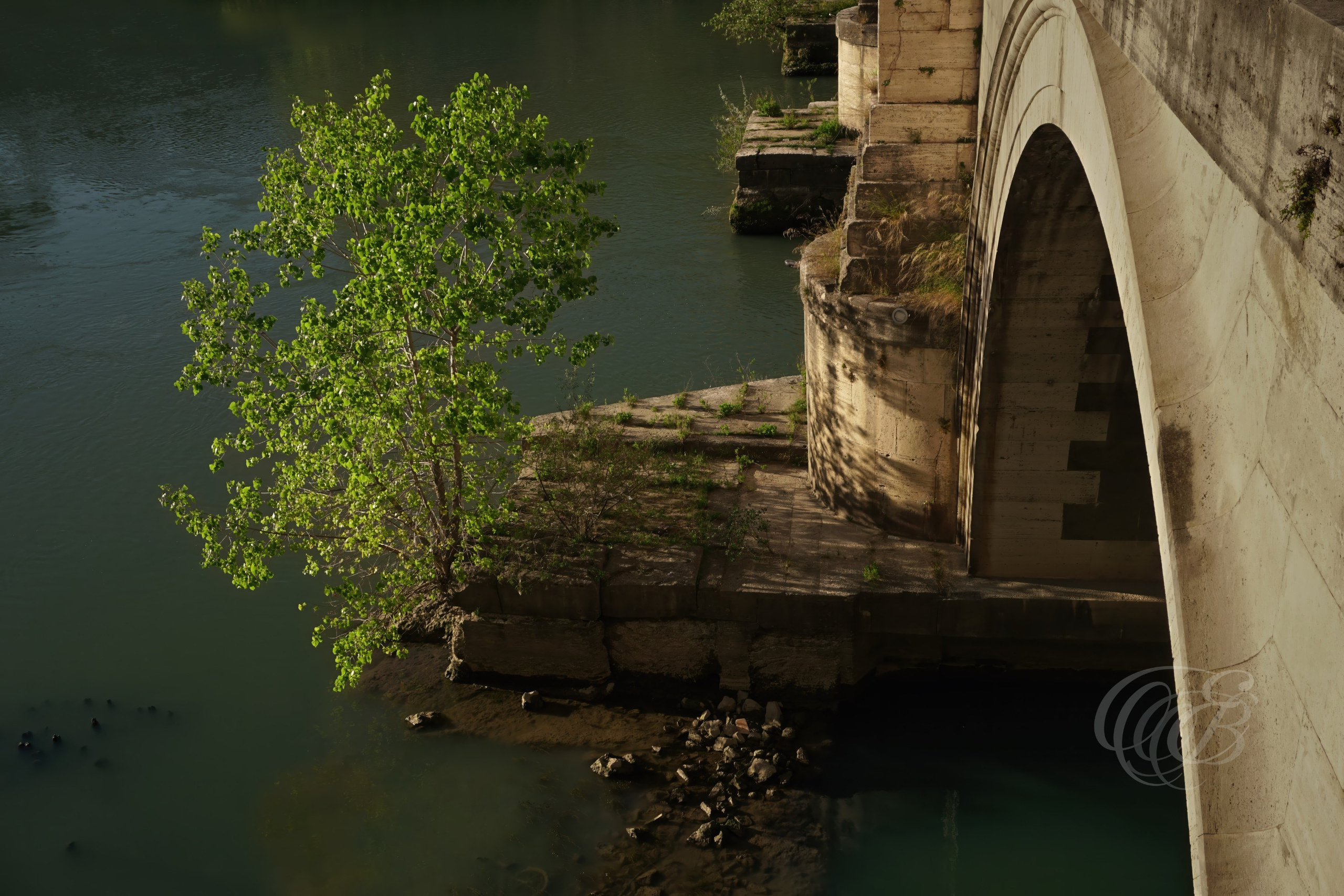 Street Photography — Rome, Italy — The Tiber in Summer — Summer view of the Tiber River flowing through Rome, capturing its tree-lined banks, historic urban setting, and the ancient waterway that has shaped the city for centuries — Eduardo Bartoli Photography.