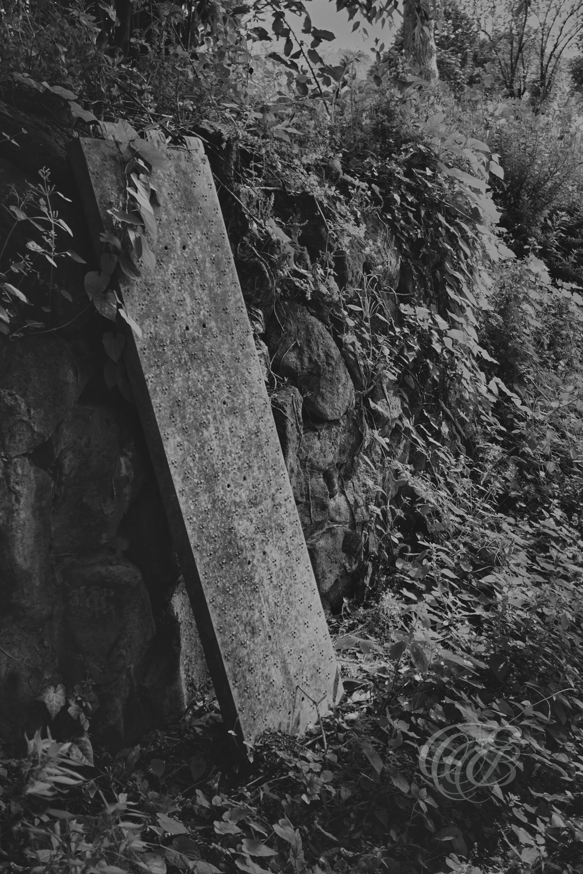Street Photography — Rome, Italy — The Forgotten Piece — B&W Matte — Matte black and white study of an abandoned scaffolding element entwined with vines at an old villa along Rome’s Appian Way, emphasizing aged materials, vegetation, texture, and the effects of time — Eduardo Bartoli Photography.
