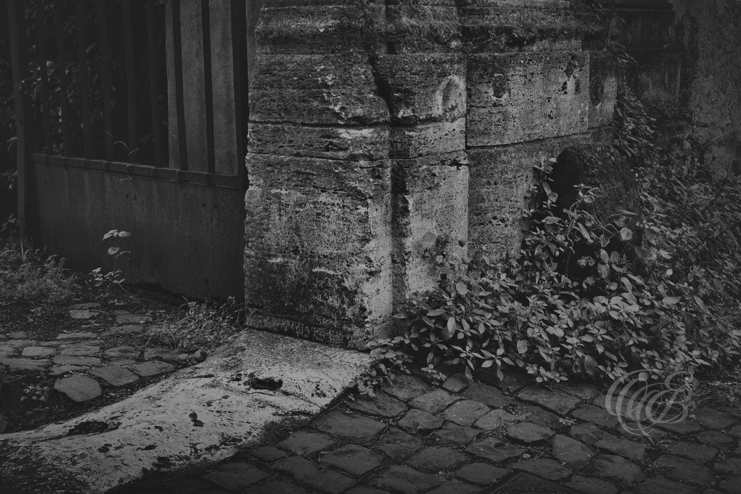 Street Photography — Rome, Italy — Appian Way — Entrance to a Villa — B&W Matte — Matte black and white interpretation of a historic villa entrance along Rome’s Appian Way, emphasizing aged architecture, natural surroundings, tonal textures, and the centuries-old character of the ancient road — Eduardo Bartoli Photography.