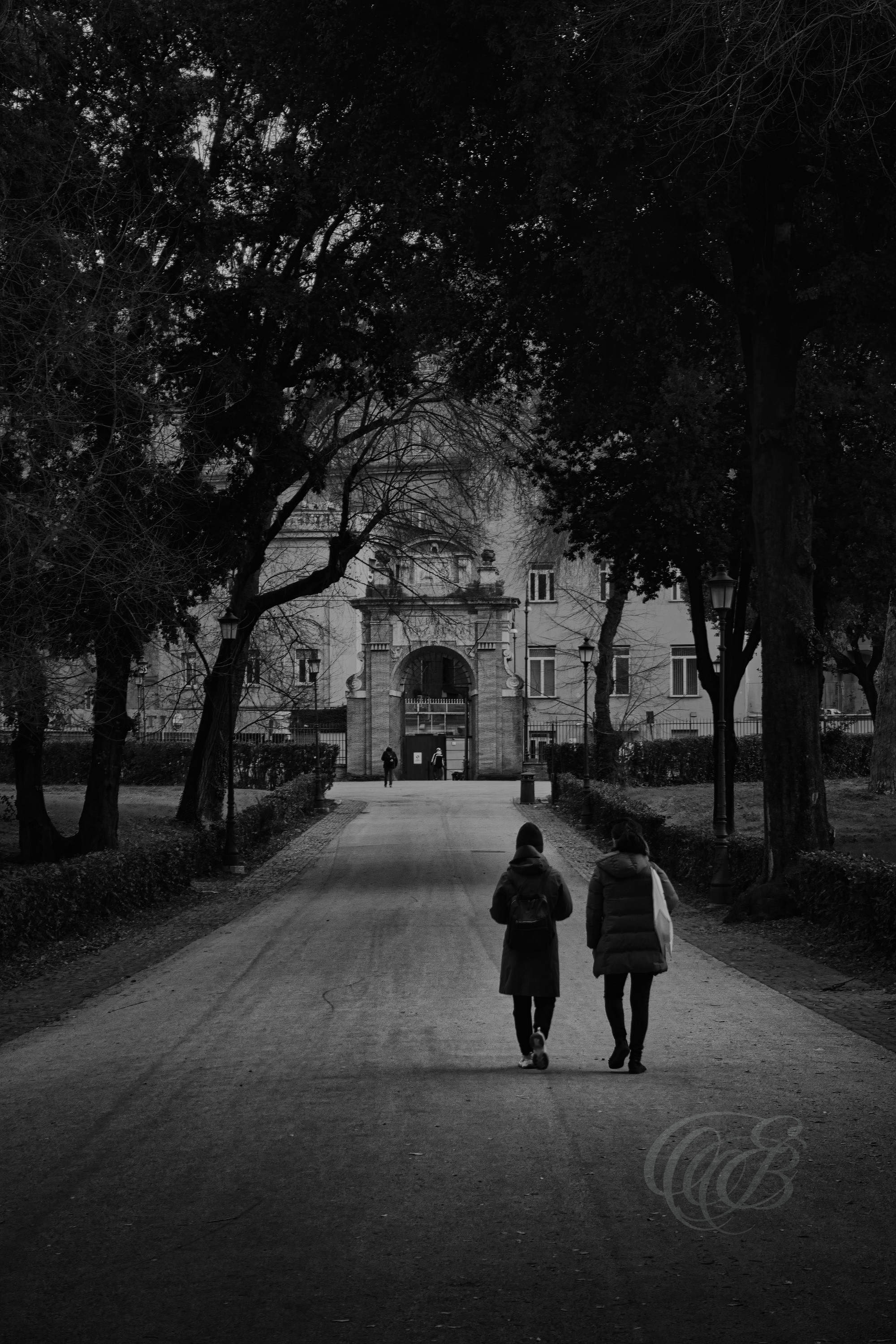 Street Photography — Rome, Italy — Villa Borghese Gardens Viale A.T. — B&W — Black and white view of Villa Borghese gardens in Rome, emphasizing tree-lined avenues, landscaped spaces, natural forms, and the historic character of one of the city’s largest public parks — Eduardo Bartoli Photography.