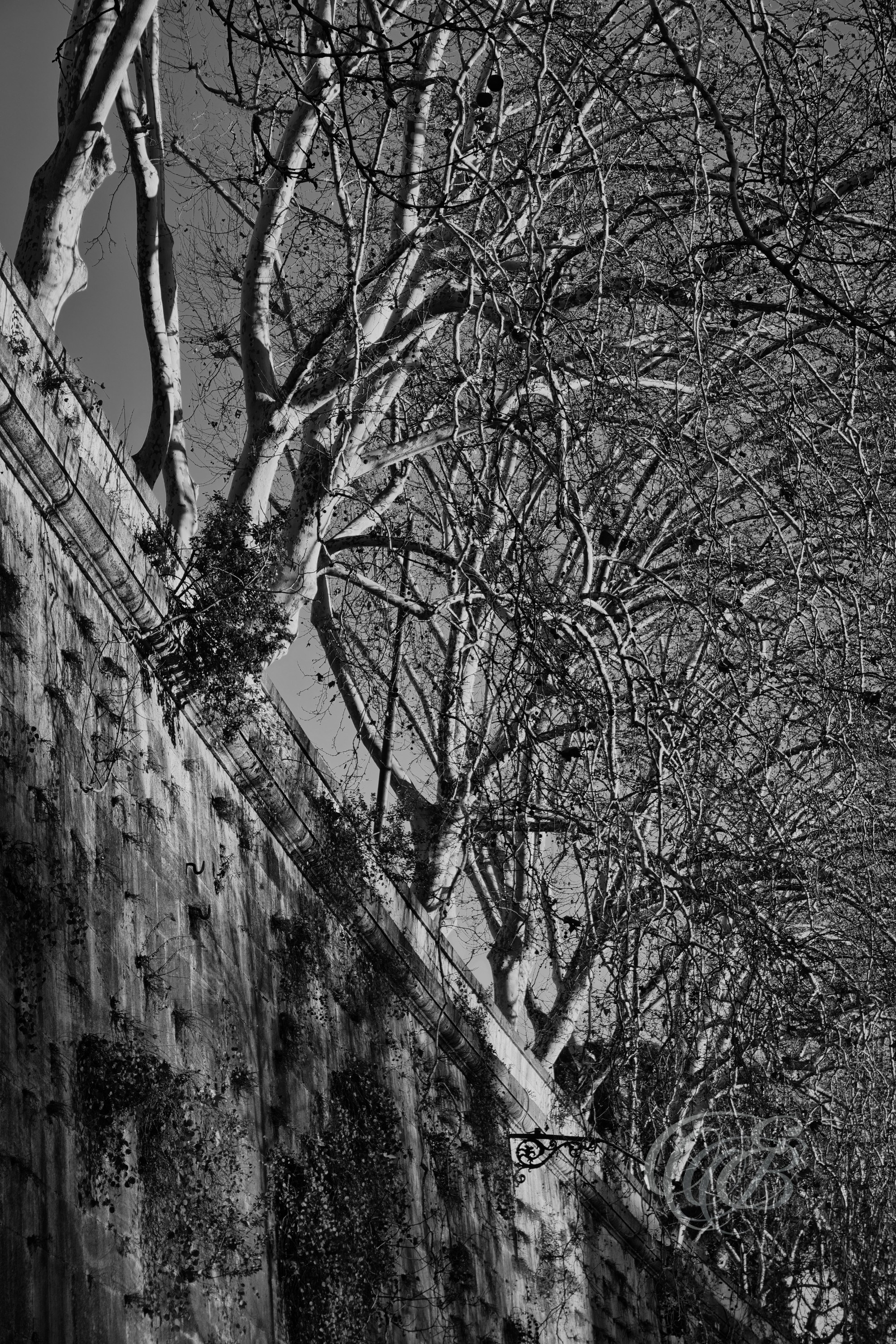 Street Photography — Rome, Italy — Tiber Walls in Winter — B&W — Black and white view of the Tiber embankment walls during winter, highlighting the nineteenth-century engineering, stonework, and historic river infrastructure of Rome — Eduardo Bartoli Photography.