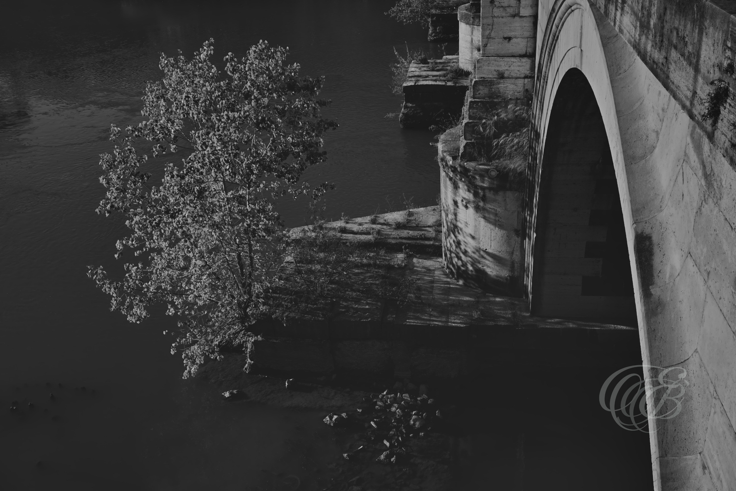 Street Photography — Rome, Italy — The Tiber in Summer — B&W Matte — Matte black and white view of the Tiber during summer, emphasizing riverbank vegetation, soft tonal contrasts, natural textures, and the historic waterway running through Rome — Eduardo Bartoli Photography.