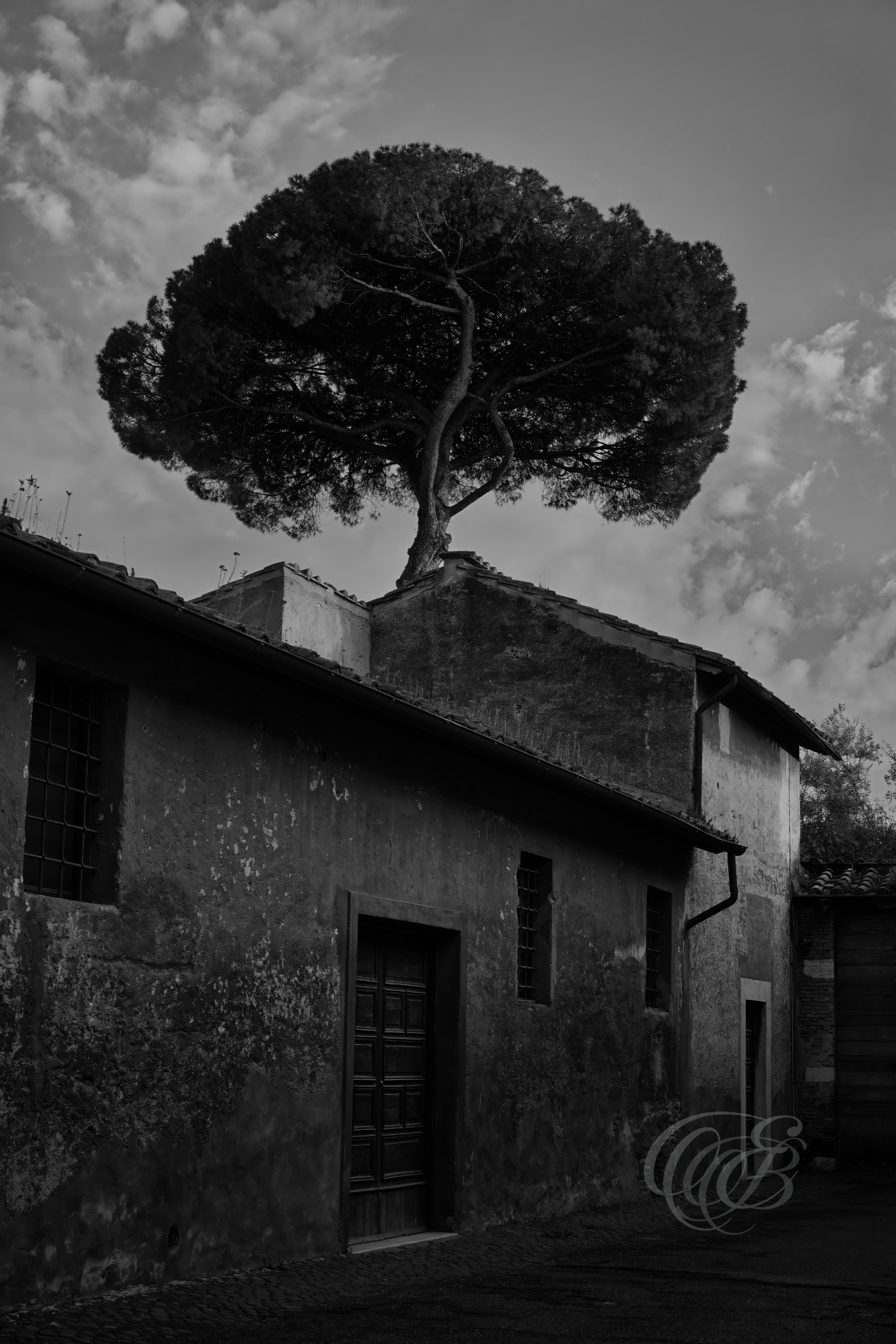 Street Photography — Rome, Italy — End of Via di S. Bonaventura — B&W — Black and white interpretation of Via di San Bonaventura near the Palatine Hill, emphasizing the secluded atmosphere, historic surroundings, and ancient character of this quiet corner of Rome — Eduardo Bartoli Photography.