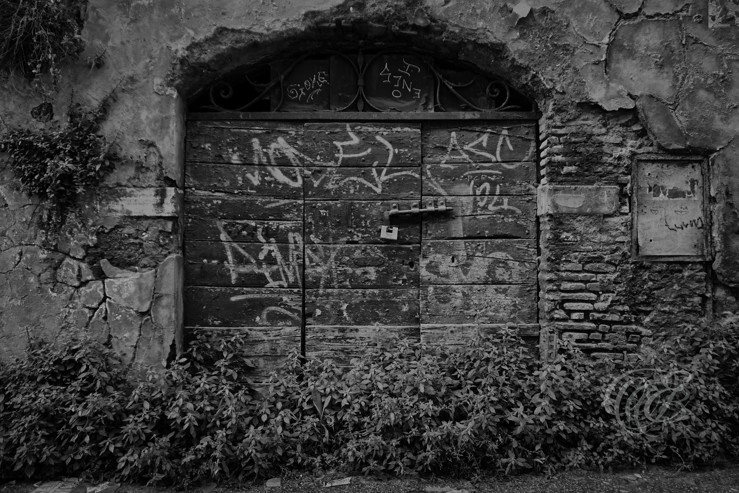 Street Photography — Rome, Italy — Rugged Old Door — B&W — Black and white study of a heavily weathered doorway and deteriorating wall in Rome, emphasizing overgrown vegetation, rough textures, architectural decay, and the effects of time — Eduardo Bartoli Photography.