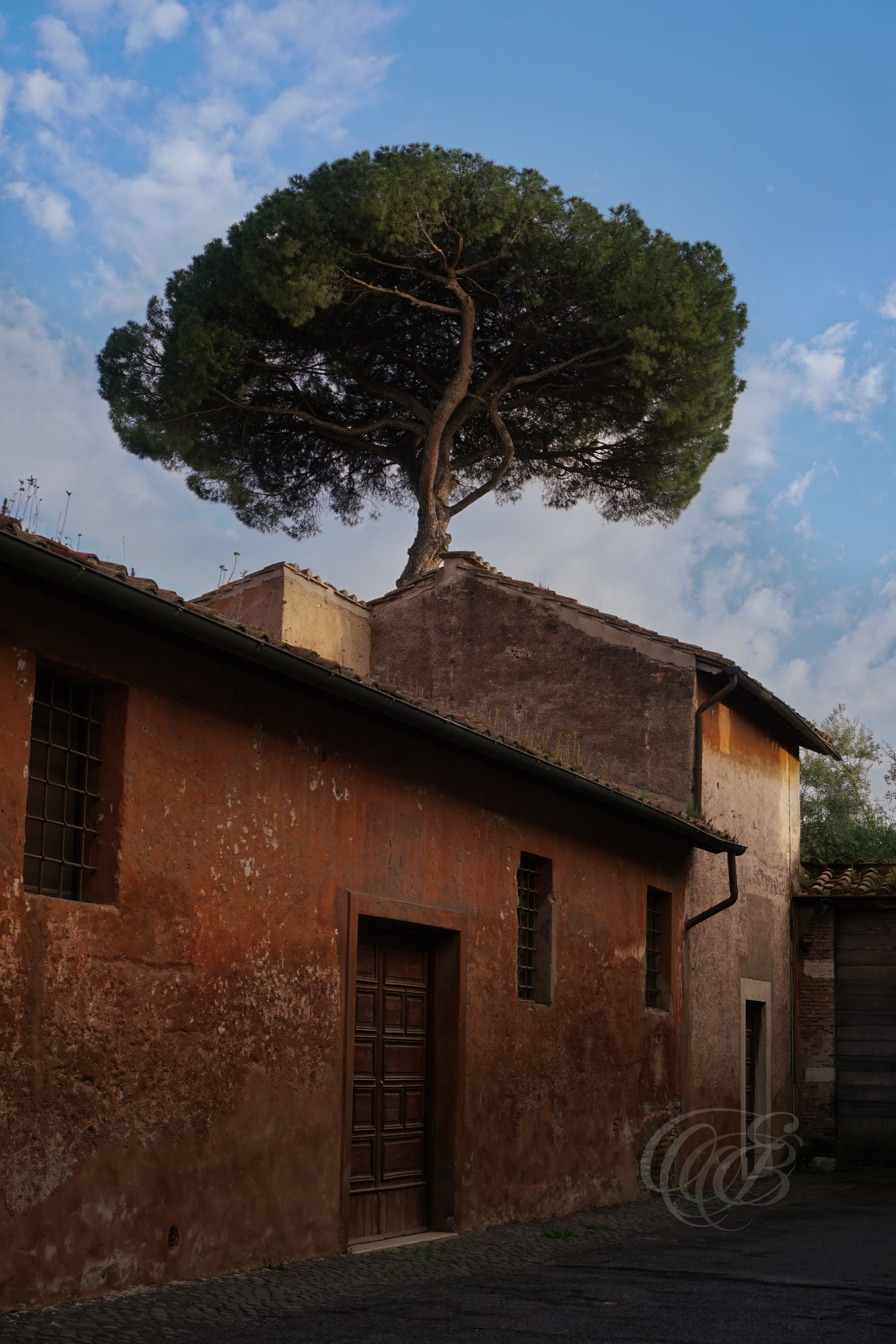 Street Photography — Rome, Italy — End of Via di S. Bonaventura — Street view at the end of Via di San Bonaventura near the historic Palatine Hill, capturing a quiet corner of Rome surrounded by centuries of ancient and religious history — Eduardo Bartoli Photography.