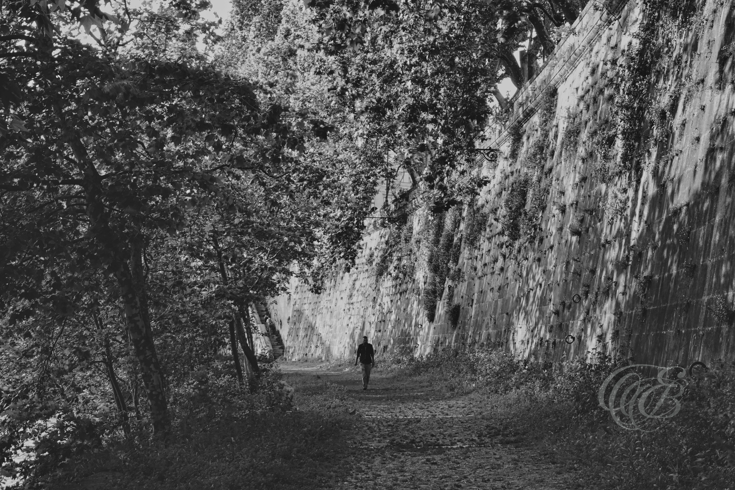 Street Photography — Rome, Italy — The Banks of the Tiber in Summer — B&W — Black and white interpretation of the Tiber riverbanks during summer, emphasizing vegetation, river textures, and the quieter atmosphere of Rome’s ancient waterway — Eduardo Bartoli Photography.