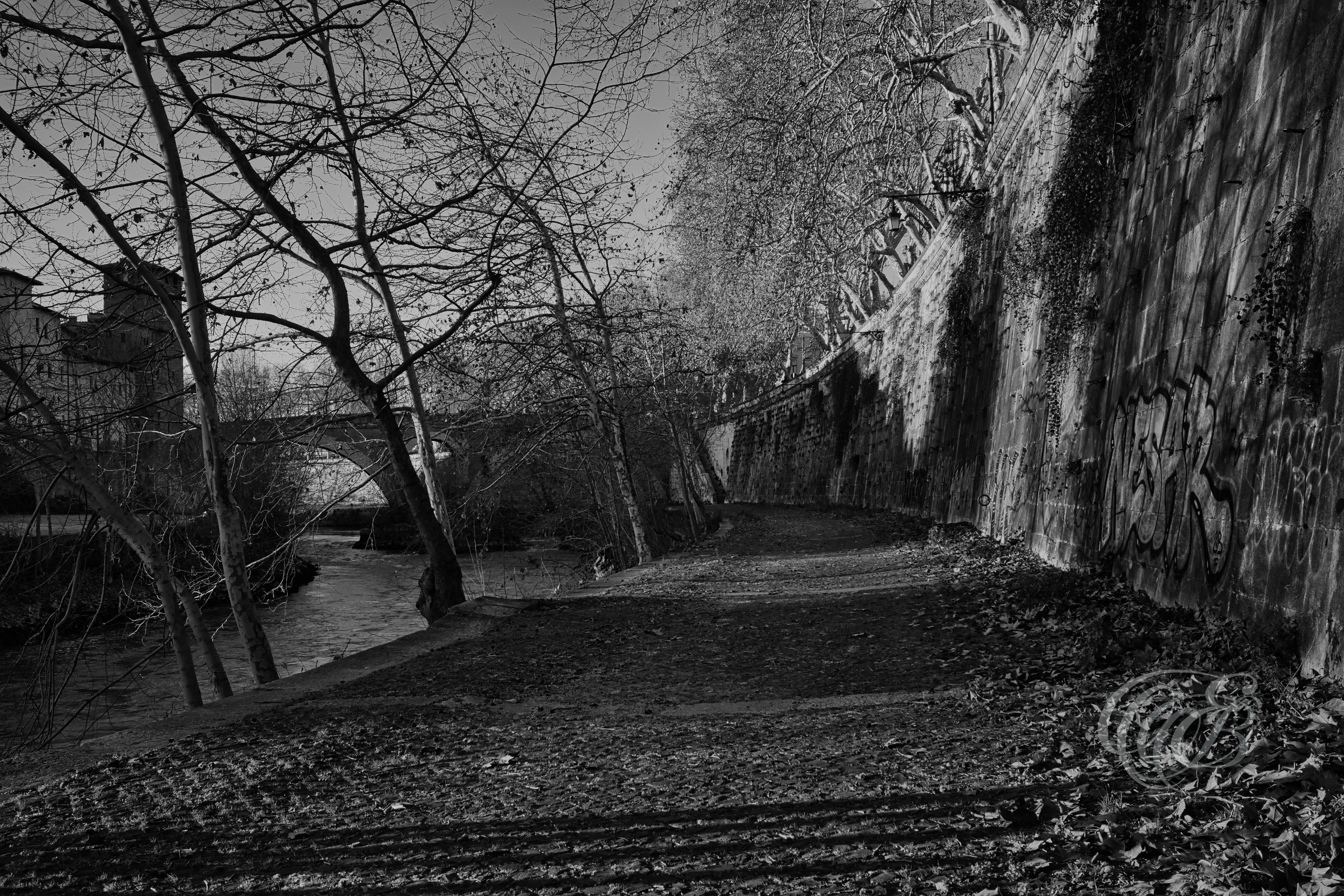 Street Photography — Rome, Italy — The Tiber Bank in Winter — B&W — Black and white view of the Tiber riverbank during winter, emphasizing stone embankments, seasonal vegetation, urban textures, and the historic river landscape of Rome — Eduardo Bartoli Photography.