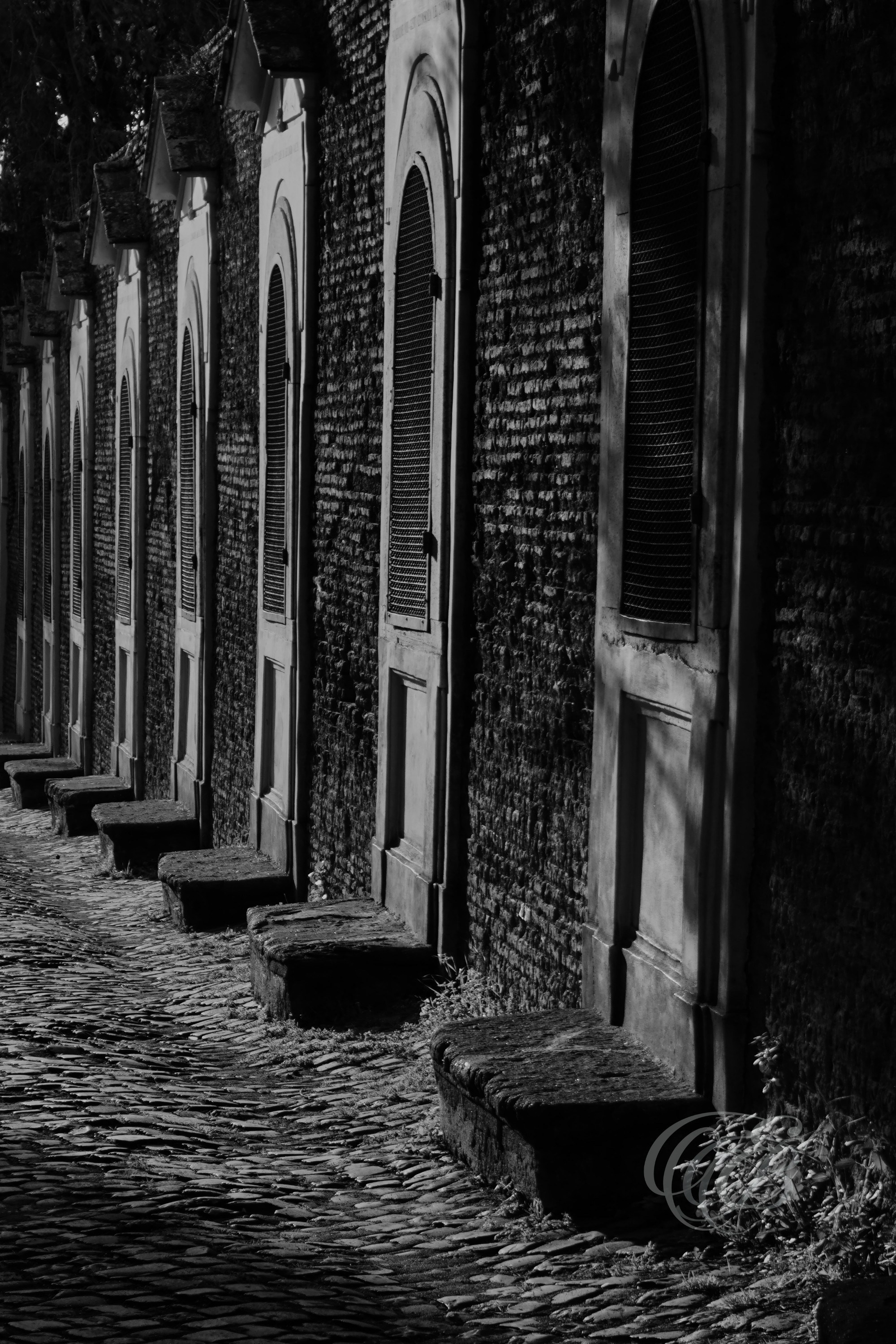Street Photography — Rome, Italy — Via di S. Bonaventura at Sunset — B&W — Black and white interpretation of Via di San Bonaventura at sunset on Rome’s Palatine Hill, emphasizing evening light, historic surroundings, tonal contrast, and the quiet character of this ancient area — Eduardo Bartoli Photography.