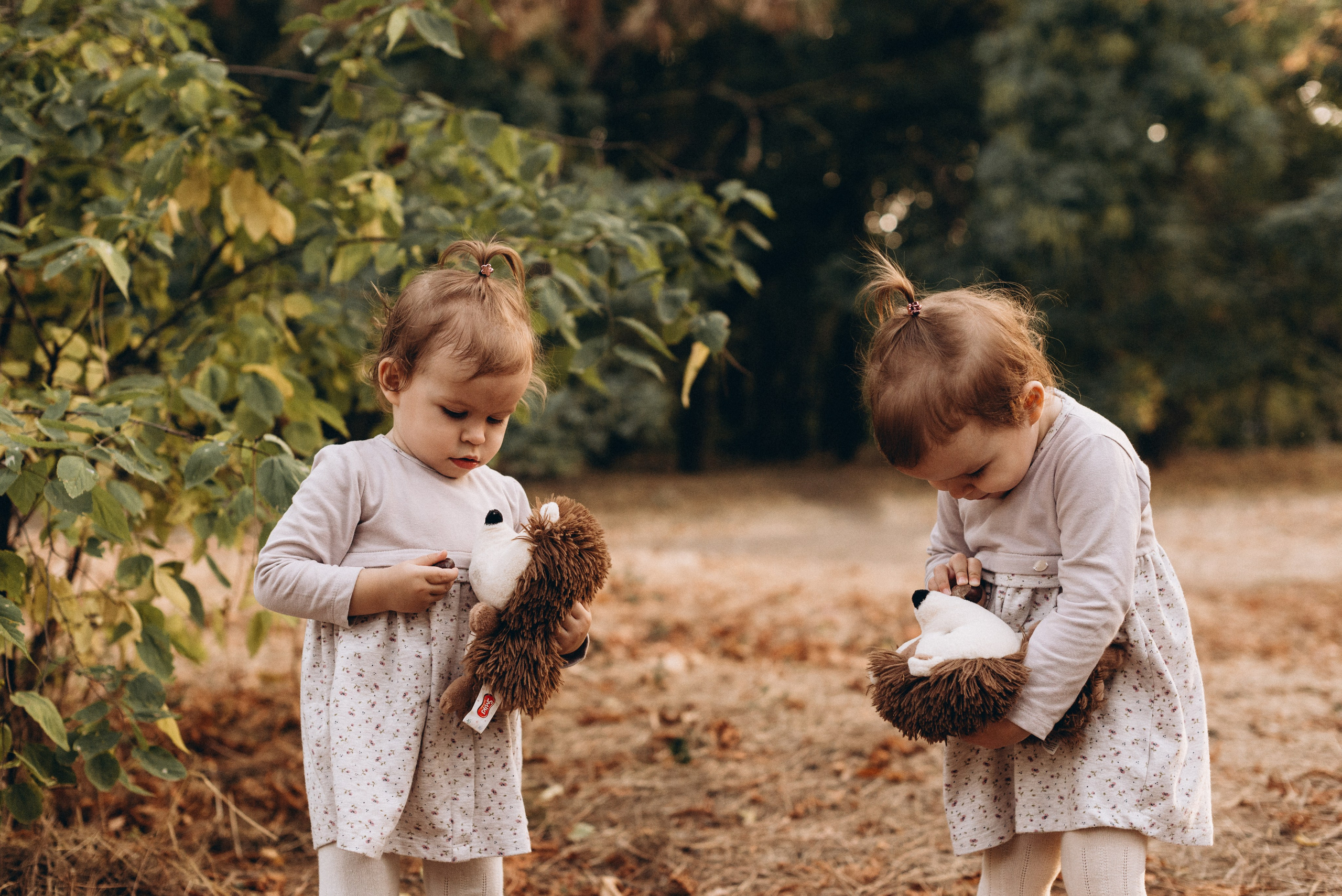 *. Wedding and family photographer San Diego