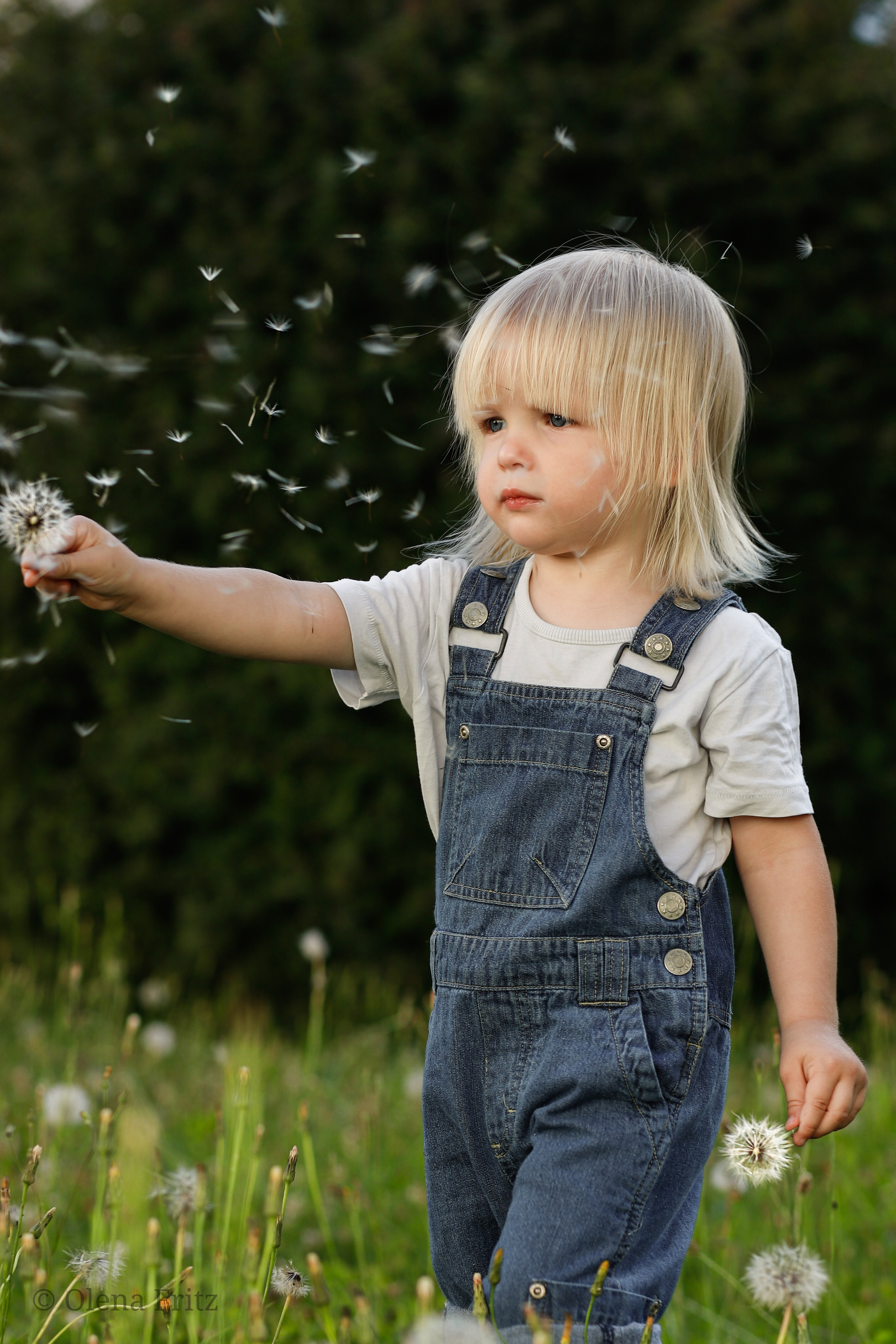 Mädchen im Garten. Olena Fritz Fotografie