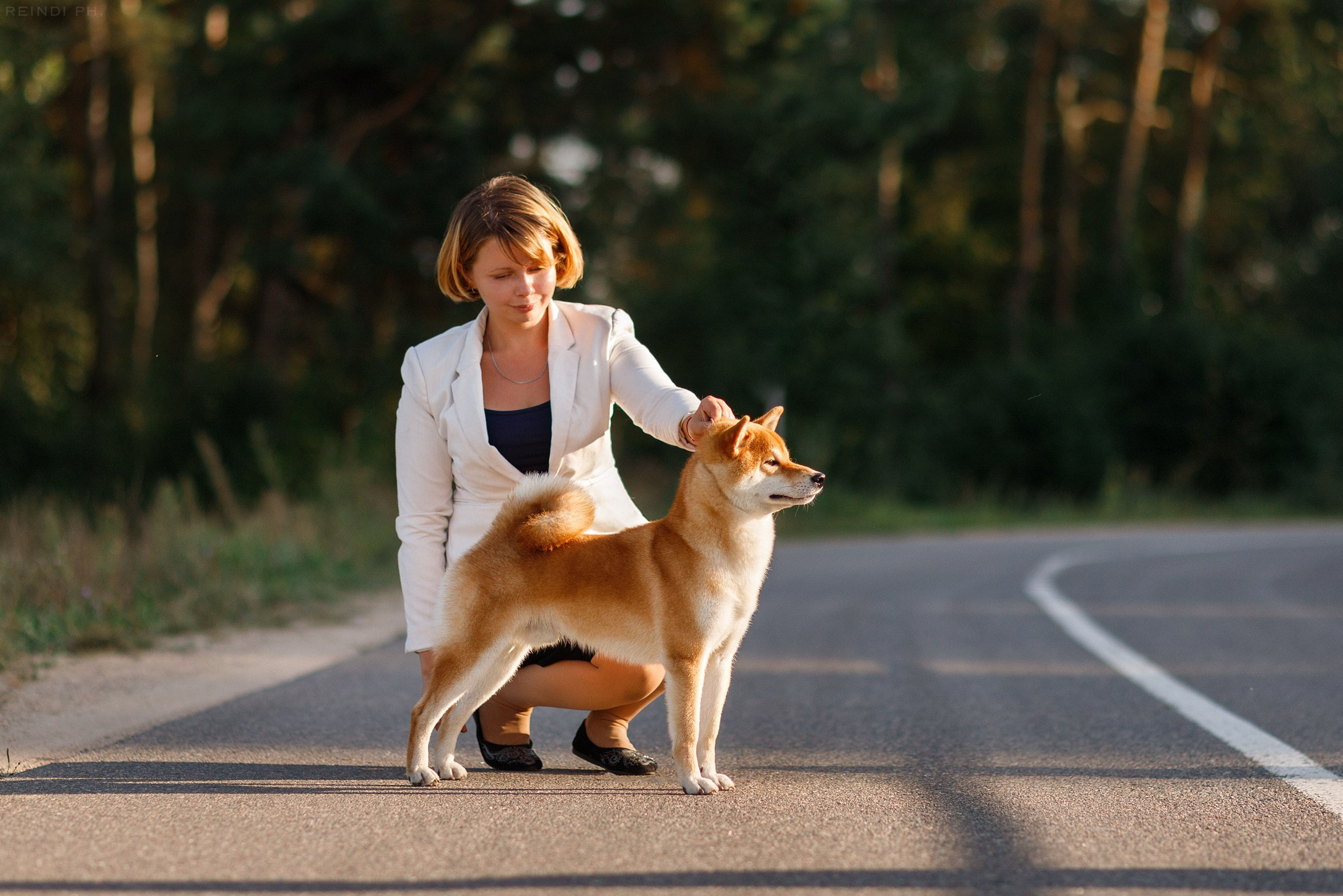 Dog shows | the best ones. Kaja | fotograf psów we Wrocławiu