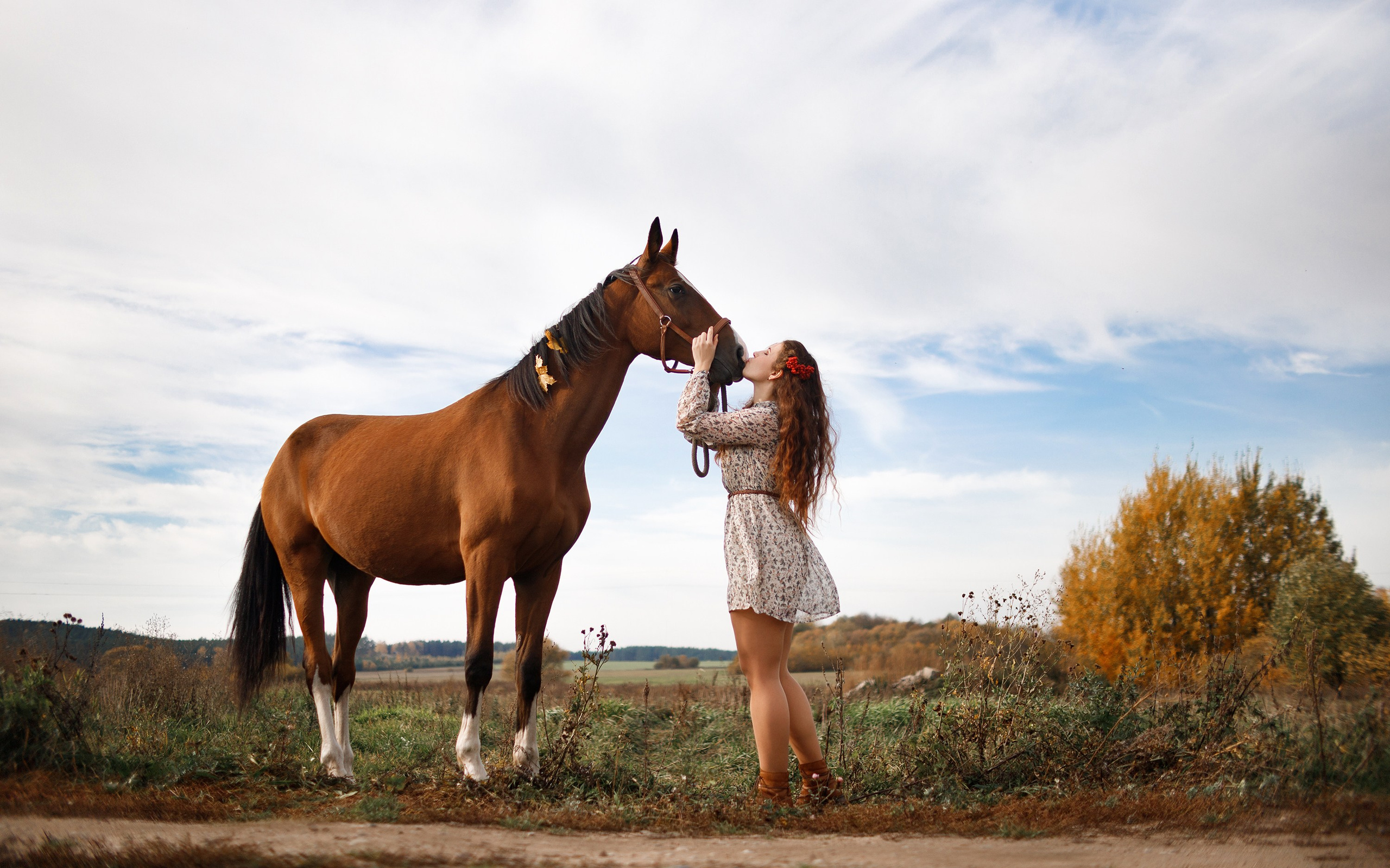 Aibike | autumn. Kaja | fotograf psów we Wrocławiu
