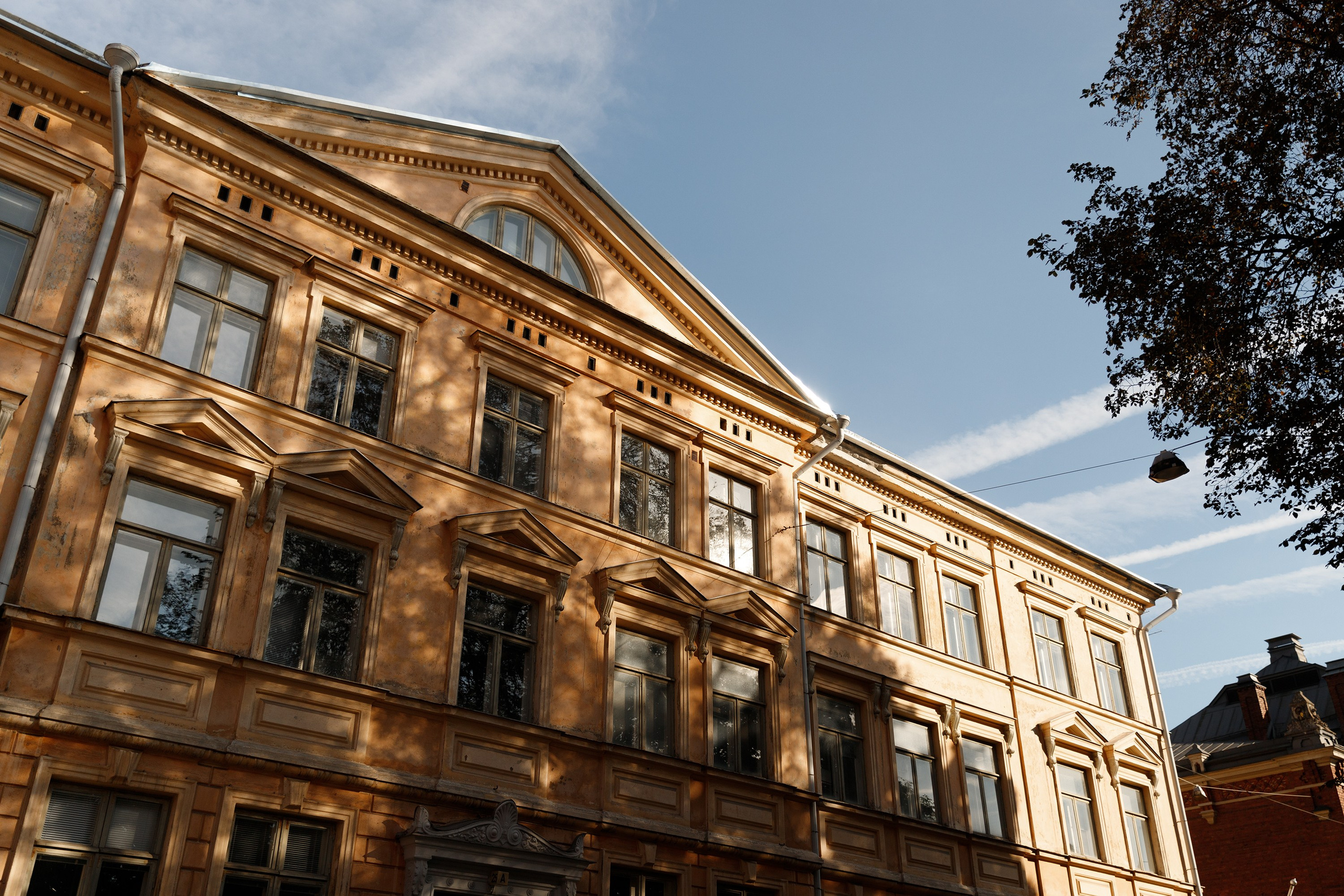 Helsinki. Kaja | fotograf psów we Wrocławiu