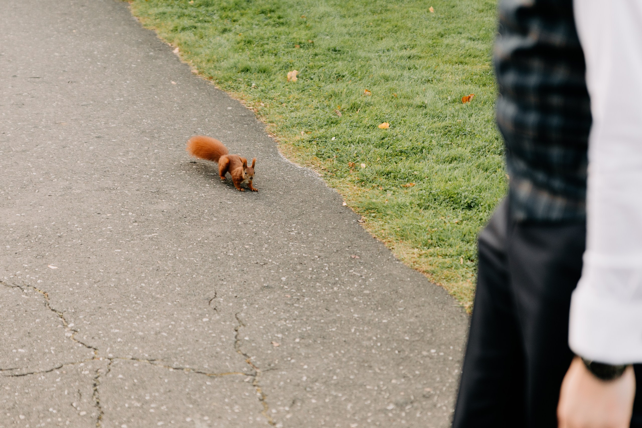 Marta ♡ Krystian. Fotograf Ślubny Warszawa - Sesje Biznesowe Rodzinne Eventy