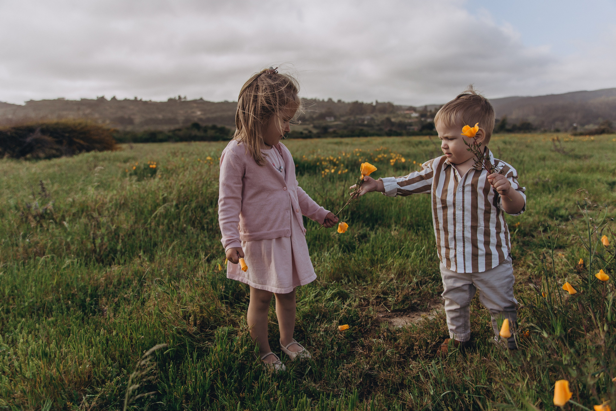Sesión de fotos familiar en el campo — costa Chilena. Photographer in Santiago, Chile Anna Almazova