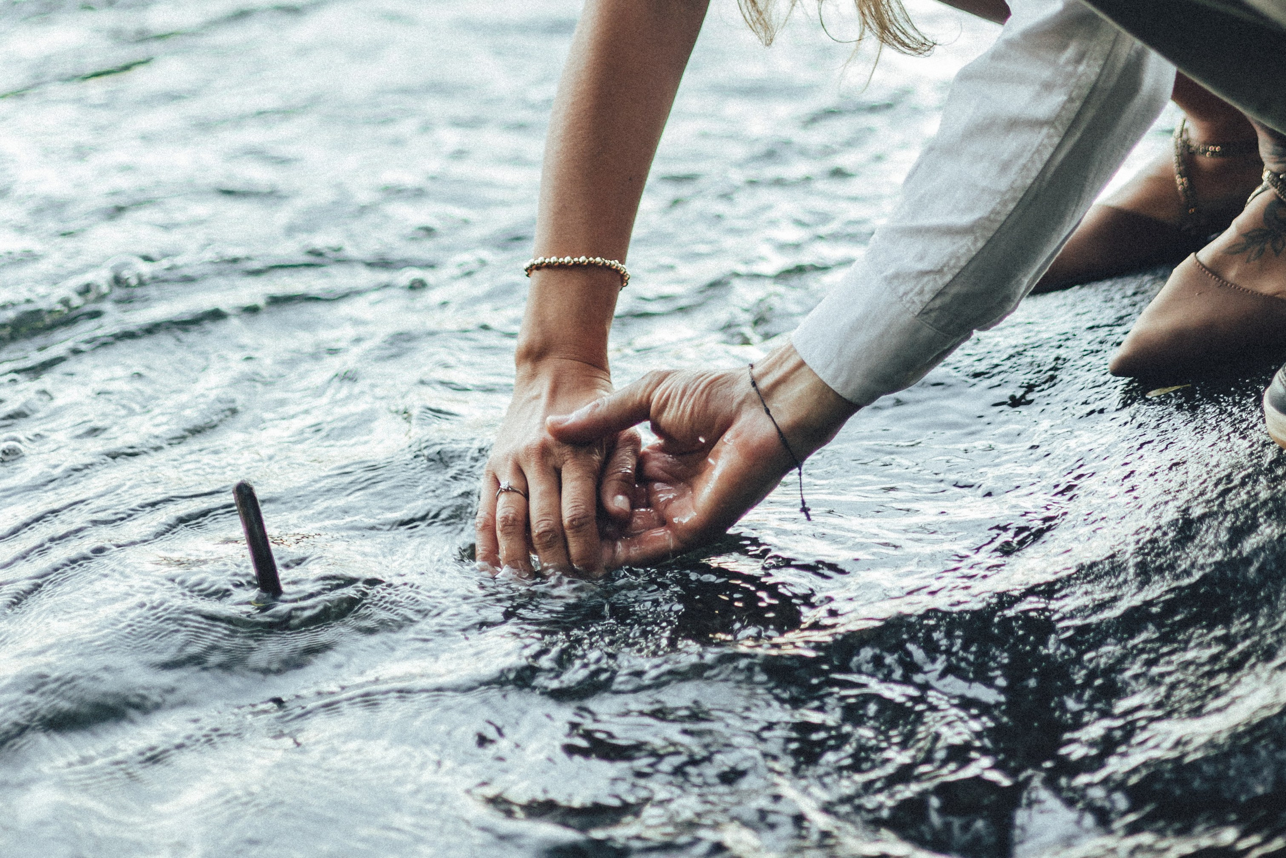 Barbara&Peter. Sara Eulalia | Virginia Photographer