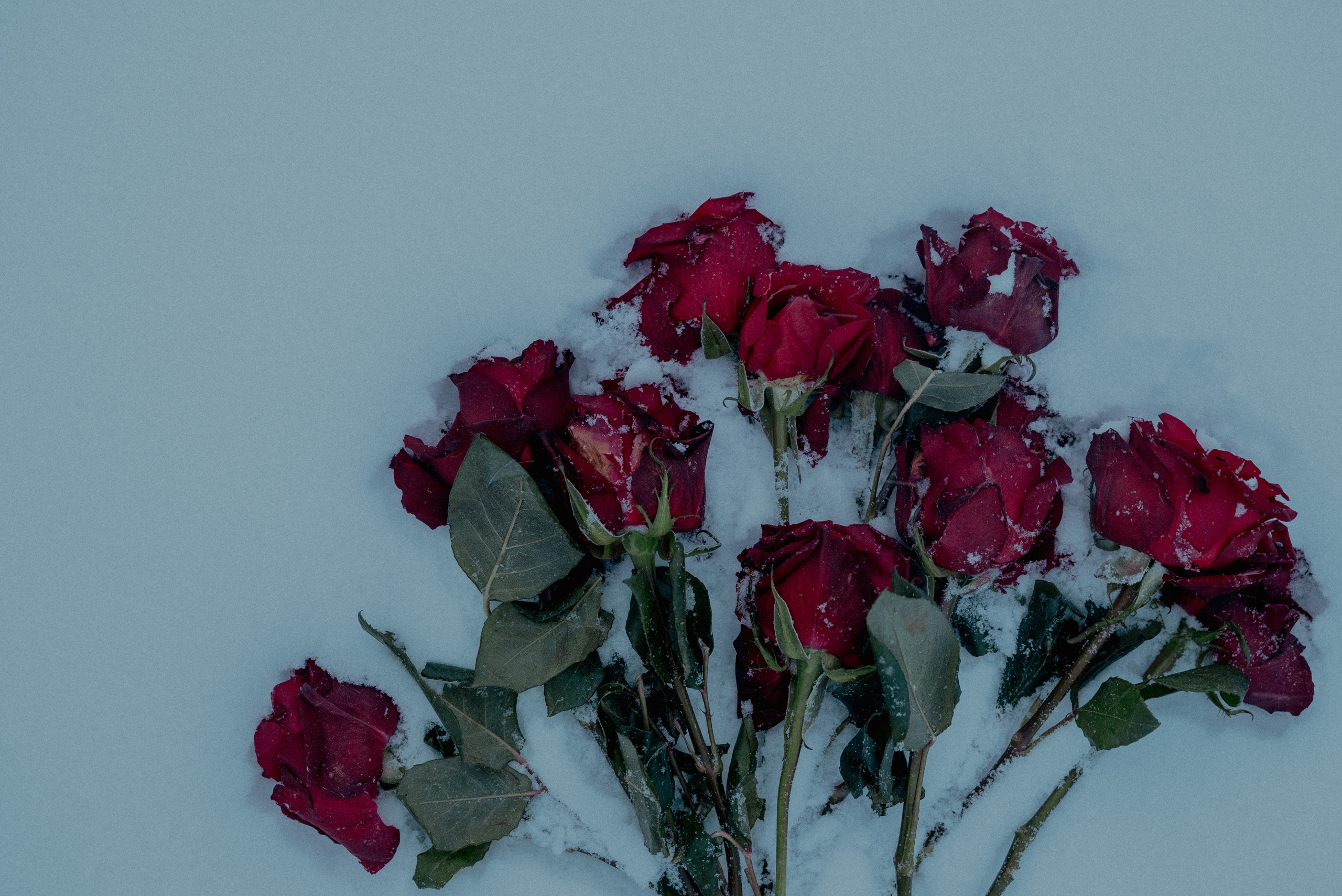 Beta. Ваш фотограф в Латгалии — Александра Юхневича!