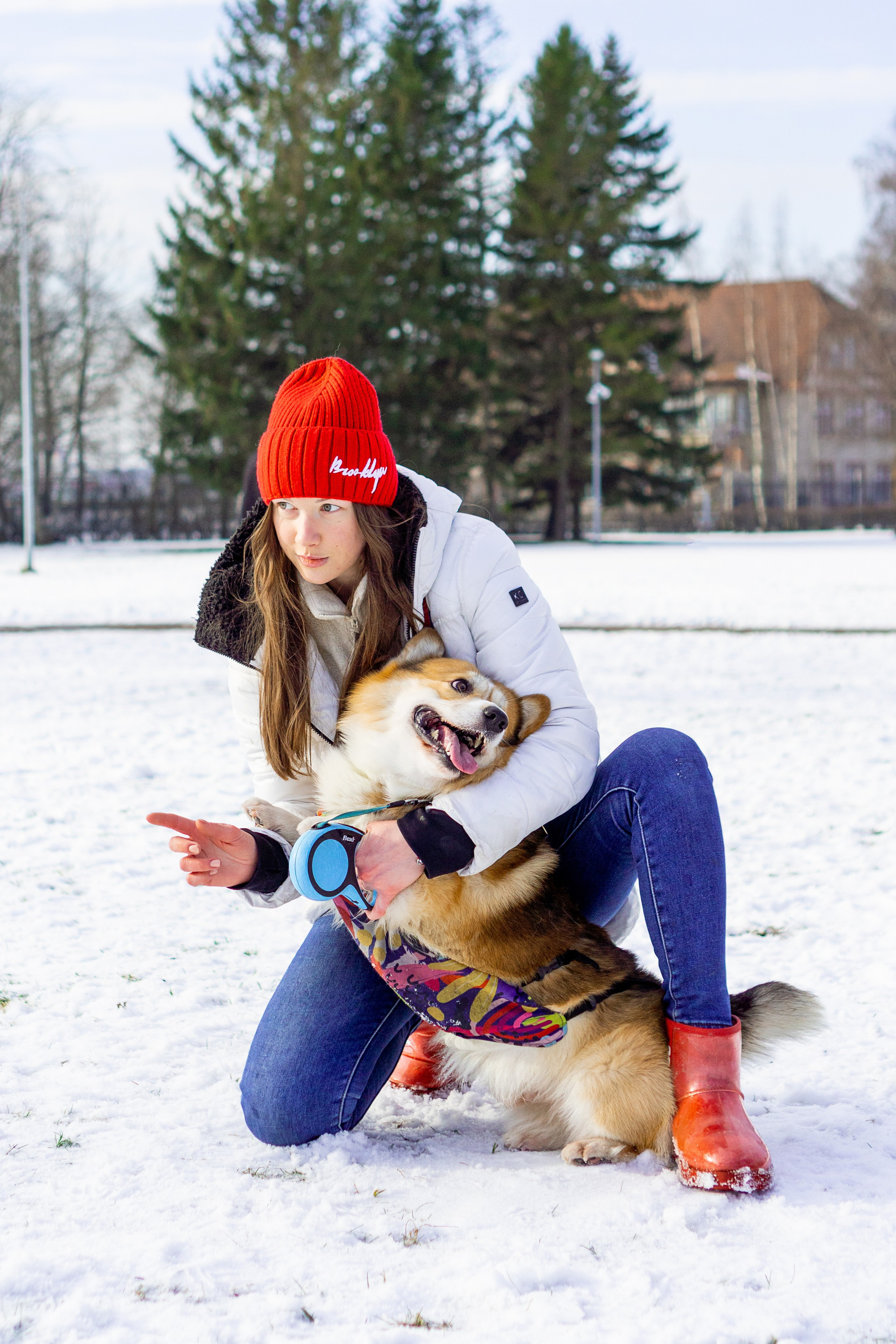 Corgi party, 23 feb. 2025. Kat Laisaar — Pet photographer in Tallinn